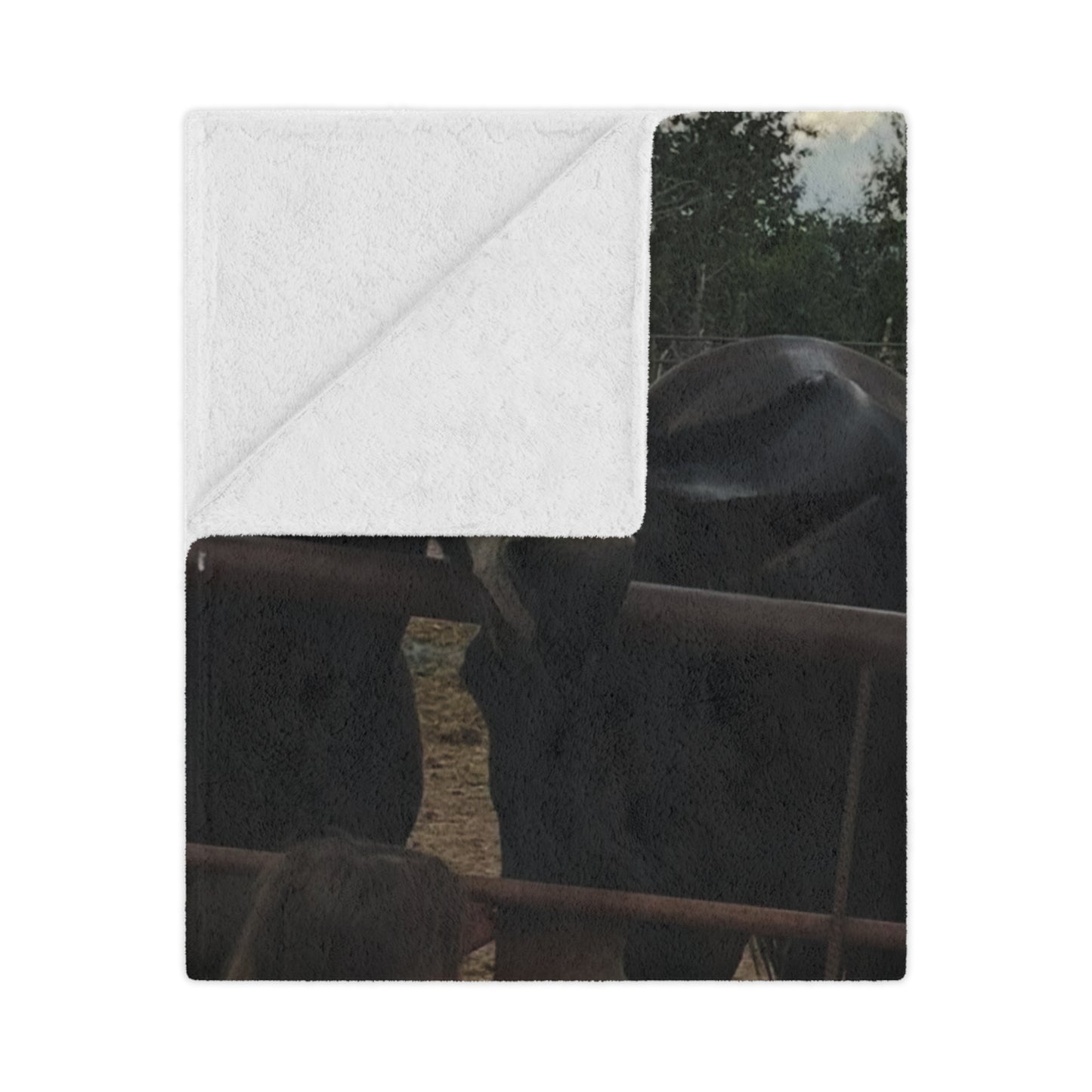 Cozy Minky Blanket with Heartwarming Dog Design, Gate Greeters Blanket – Mule & Mustang Edition