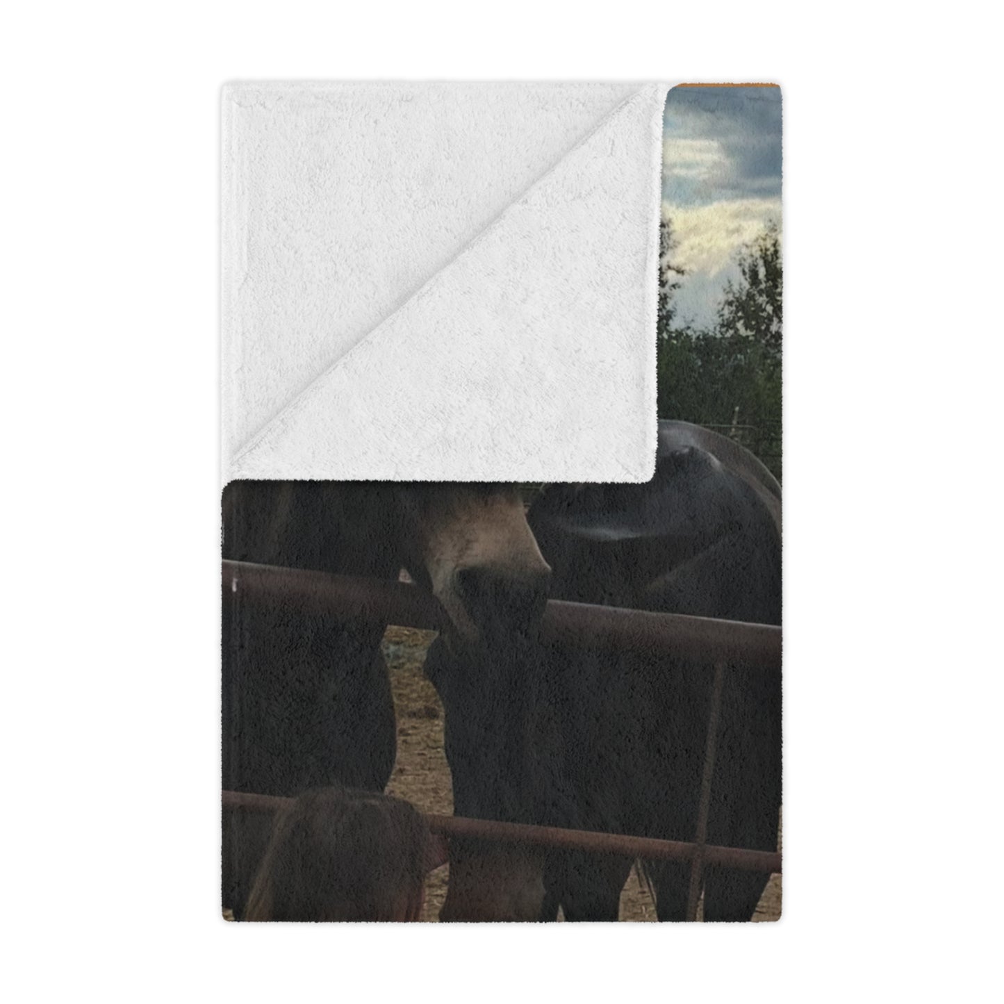 Cozy Minky Blanket with Heartwarming Dog Design, Gate Greeters Blanket – Mule & Mustang Edition