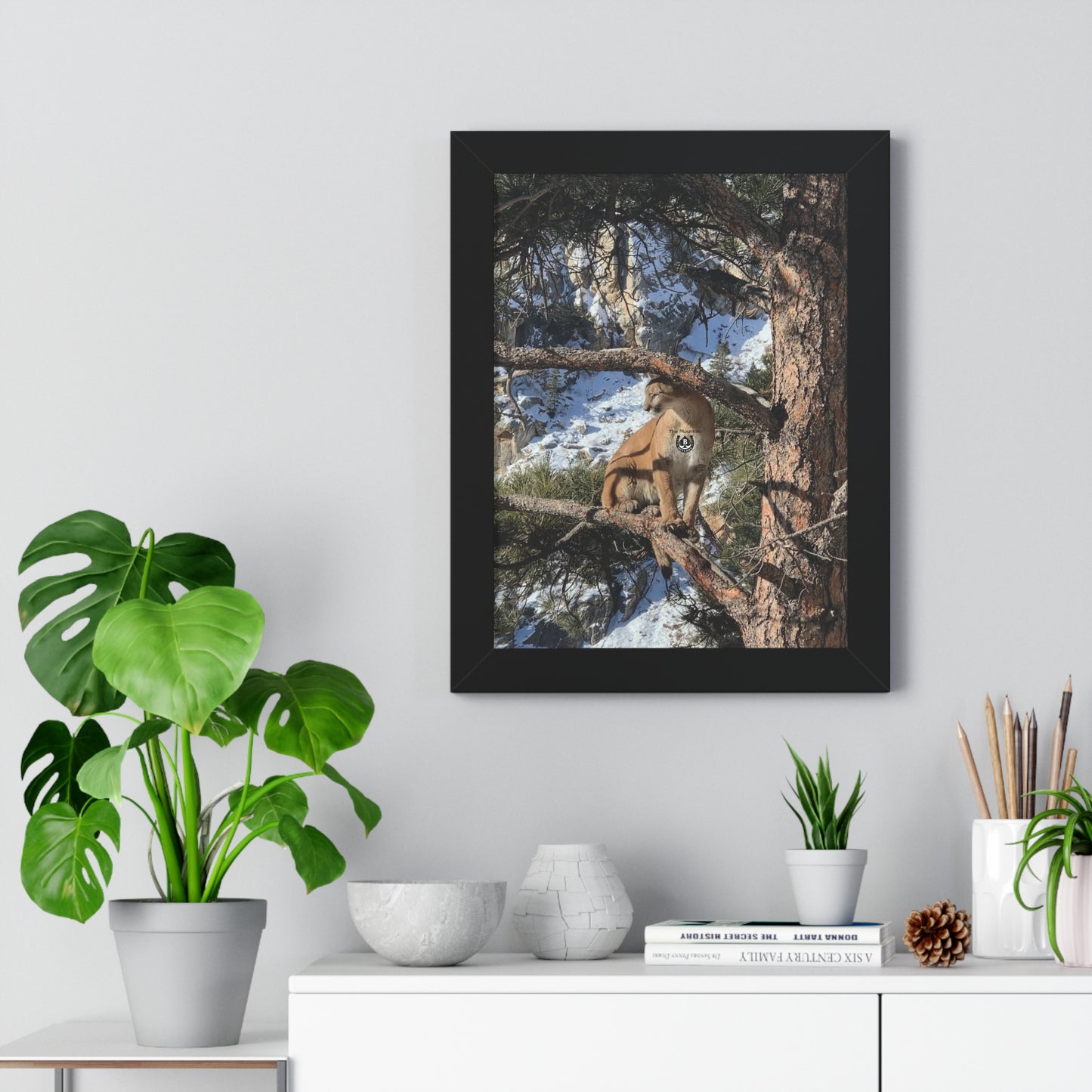 Crowned in Pine – The Mountain Collection
