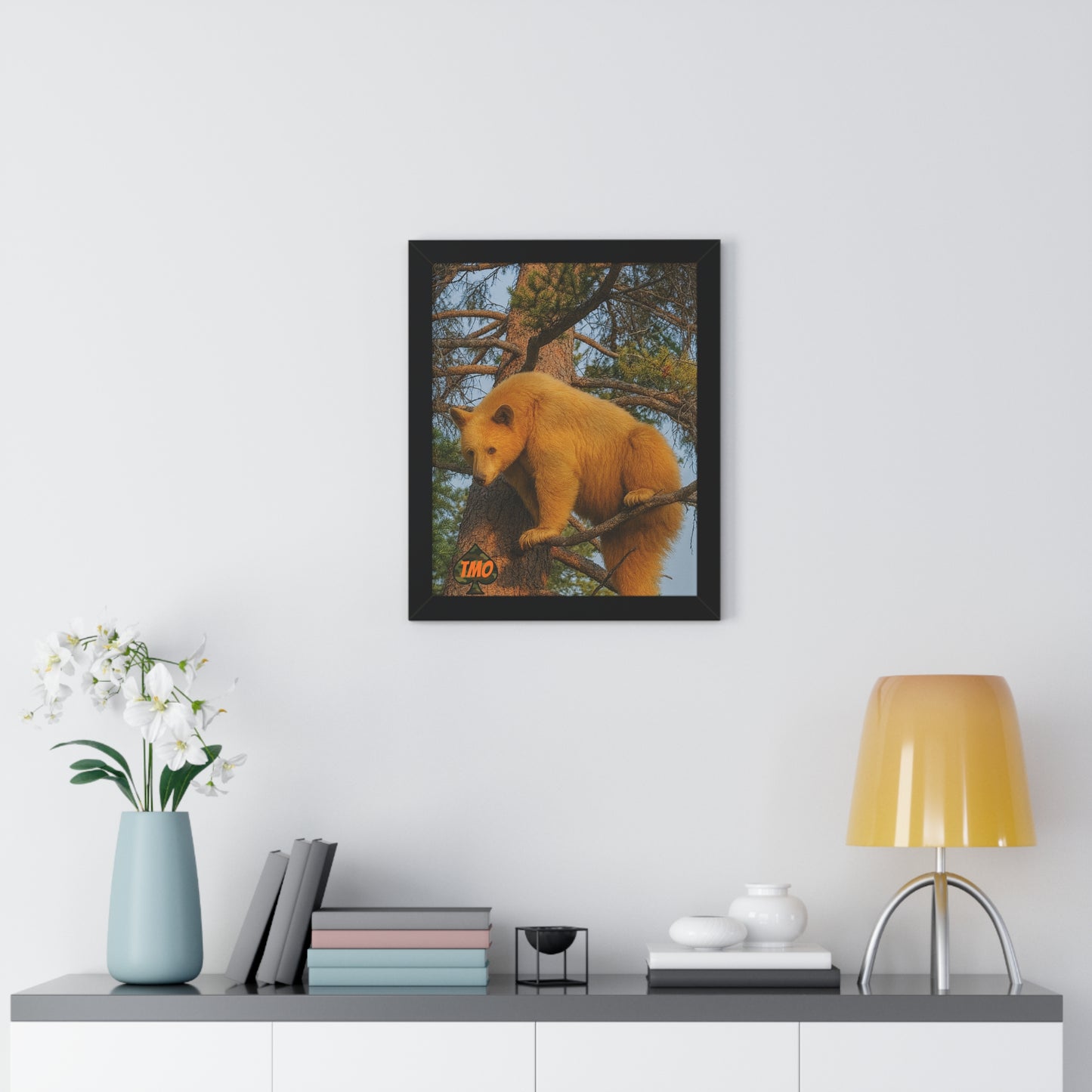 Black Bear in the Pines – Wild Backcountry Photo Print