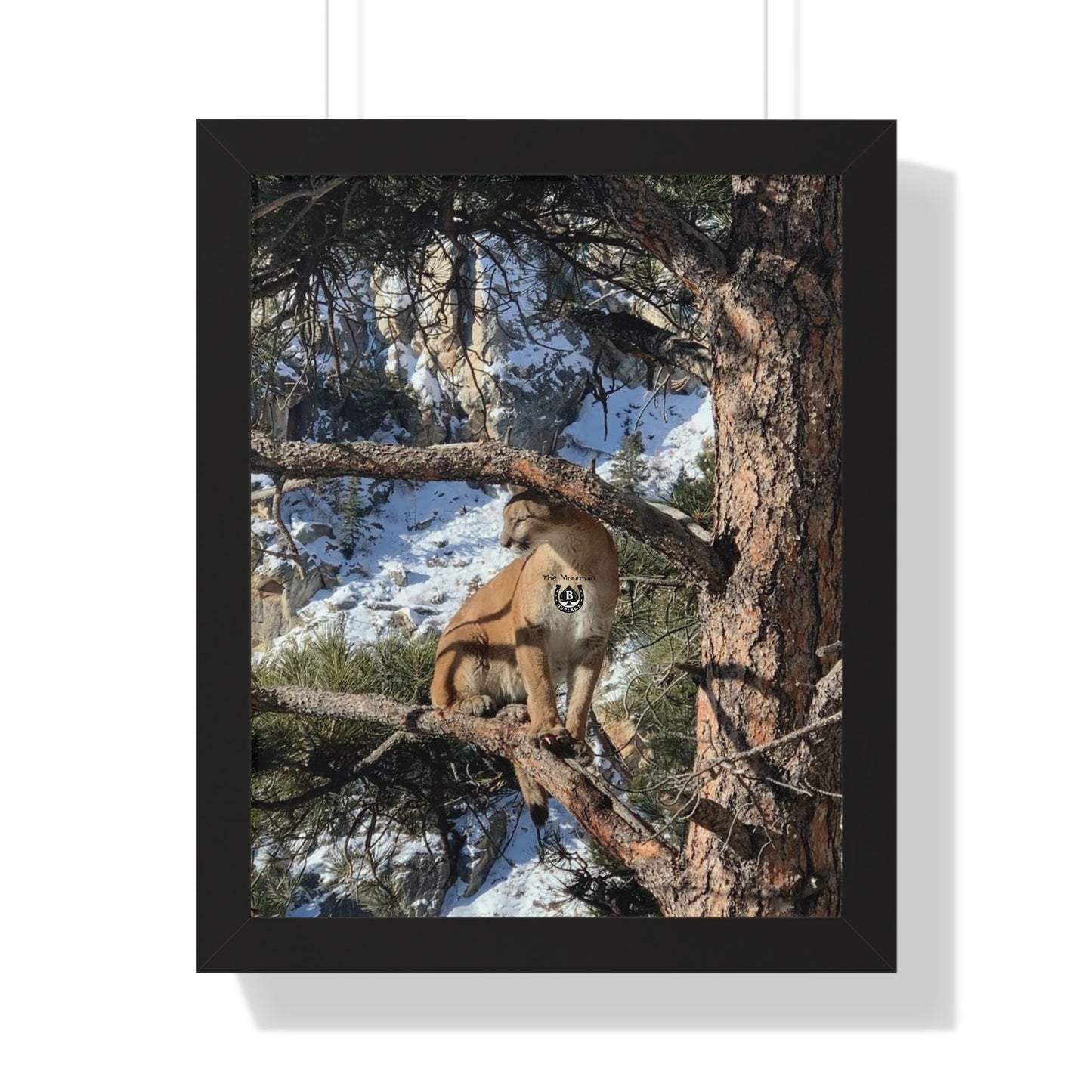 Crowned in Pine – The Mountain Collection