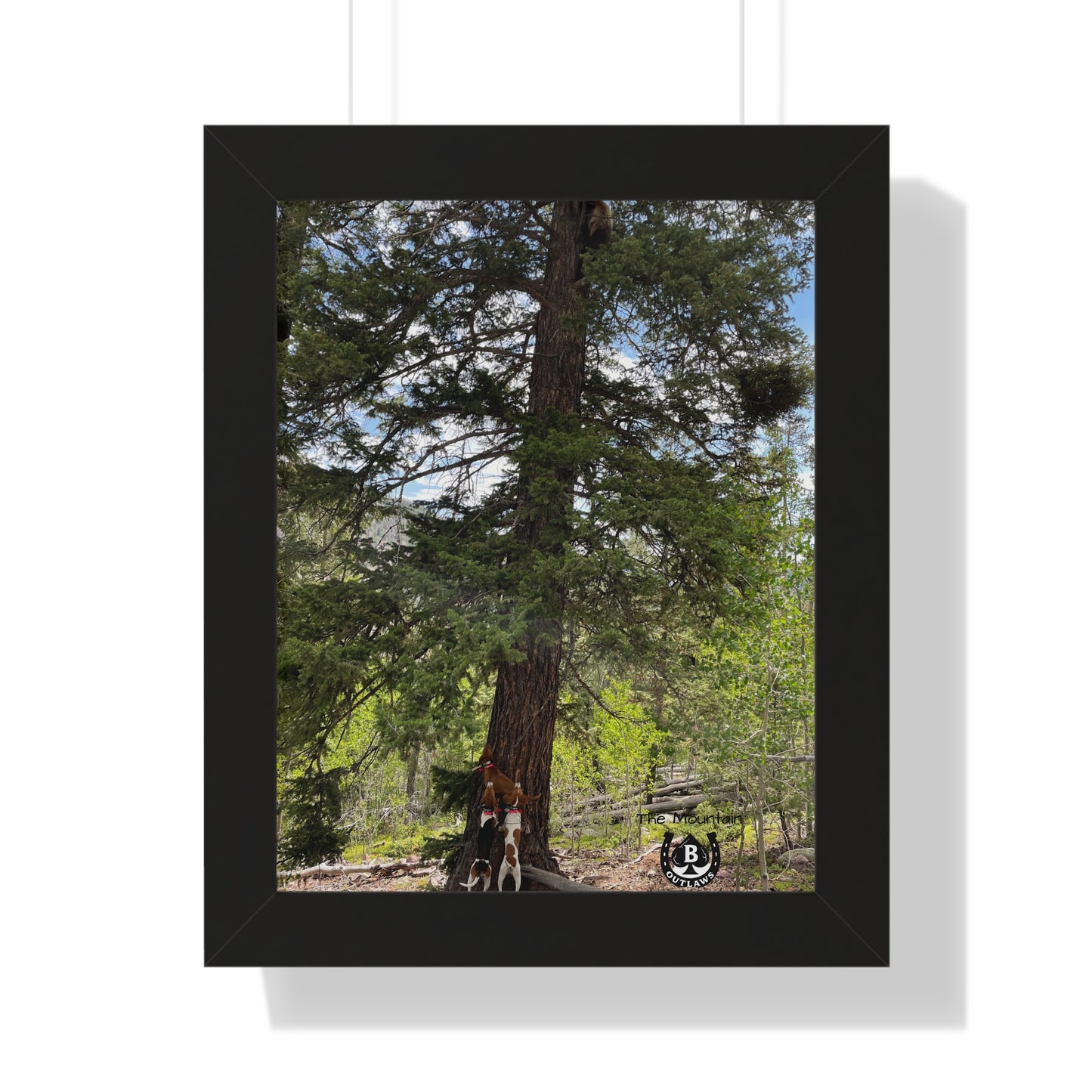 Tree Between Worlds – The Mountain Collection