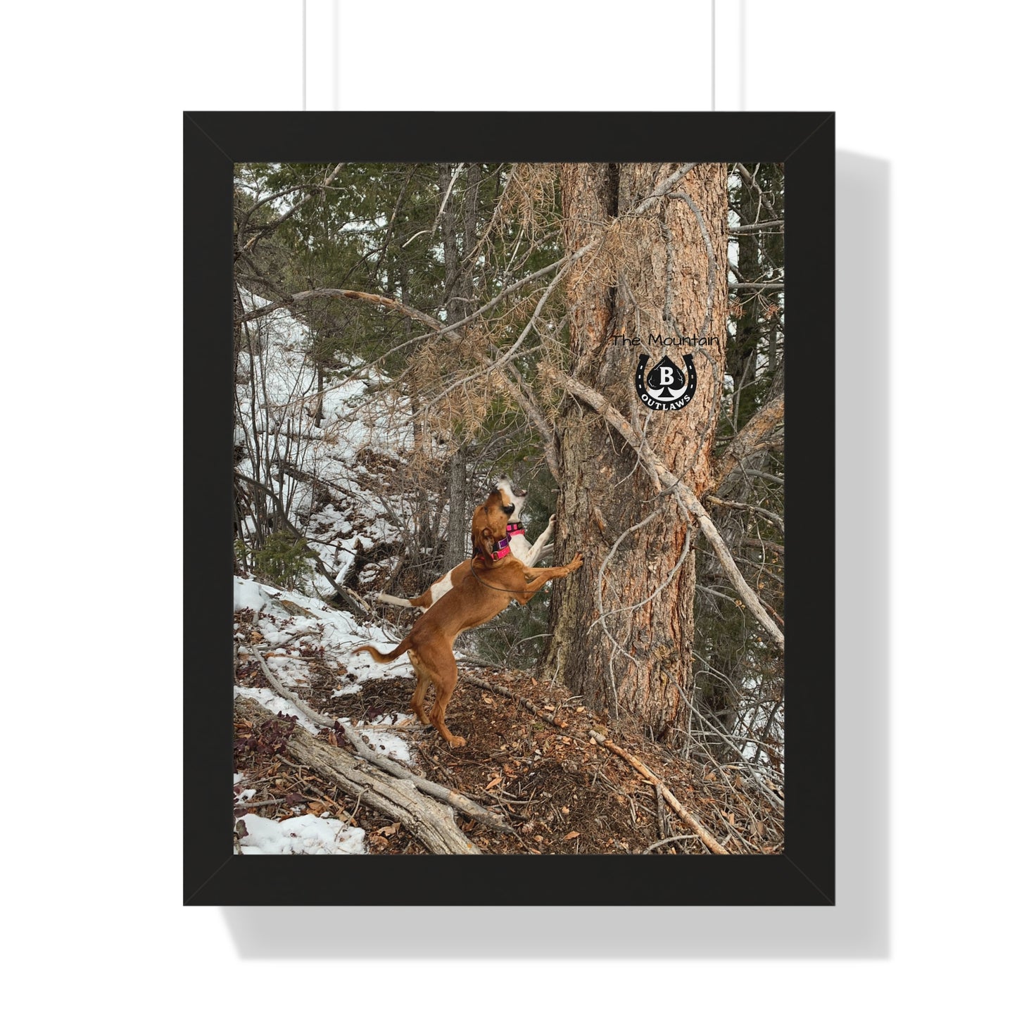 Spit & Timber – The Mountain Collection