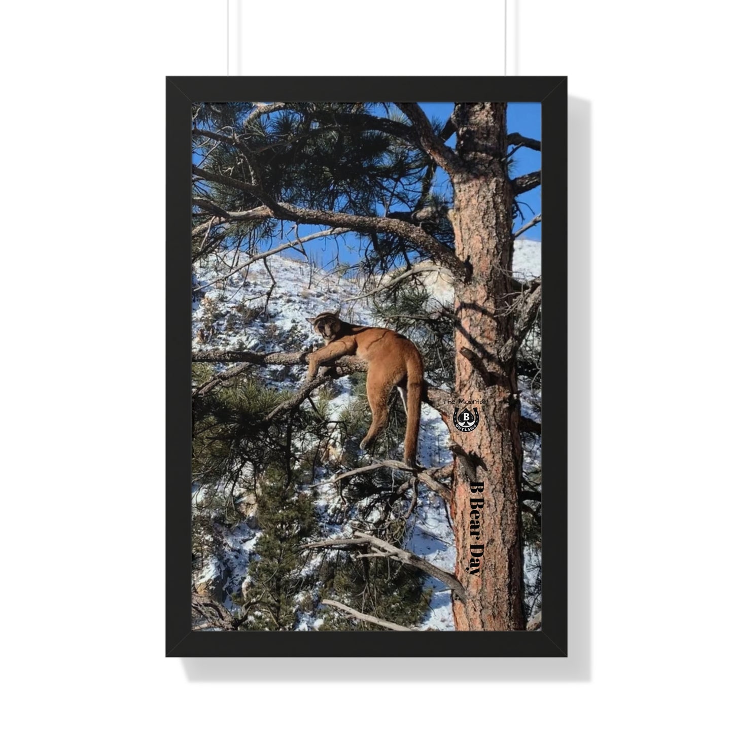 High Mark – The Mountain Collection