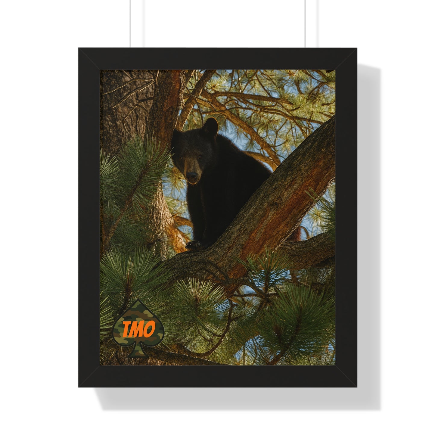 TMO Tree Bear – Apex Outlaw Wall Art