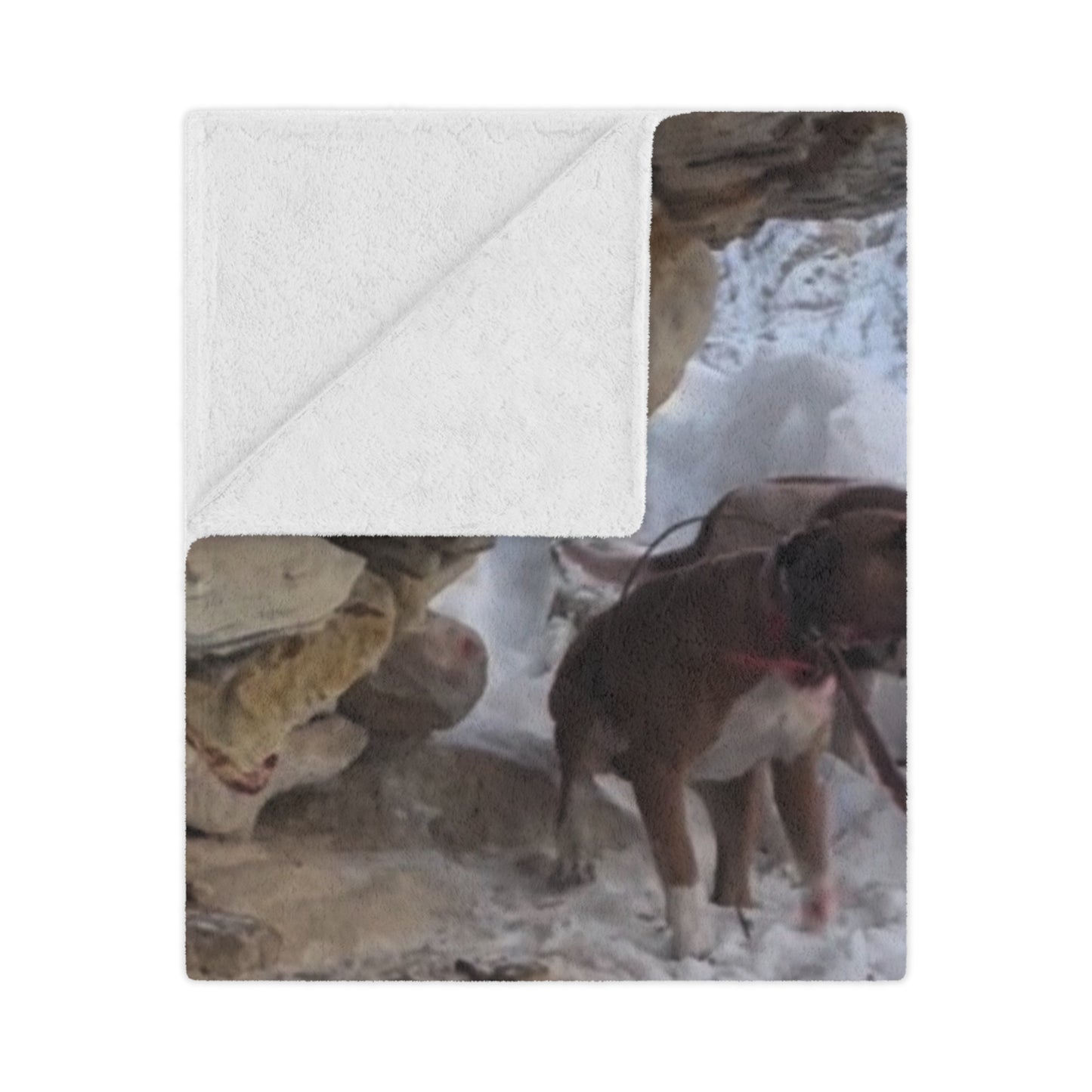 The Tree’d Bear Blanket – For the Ones Who Know the Sound of Grit Barkin’