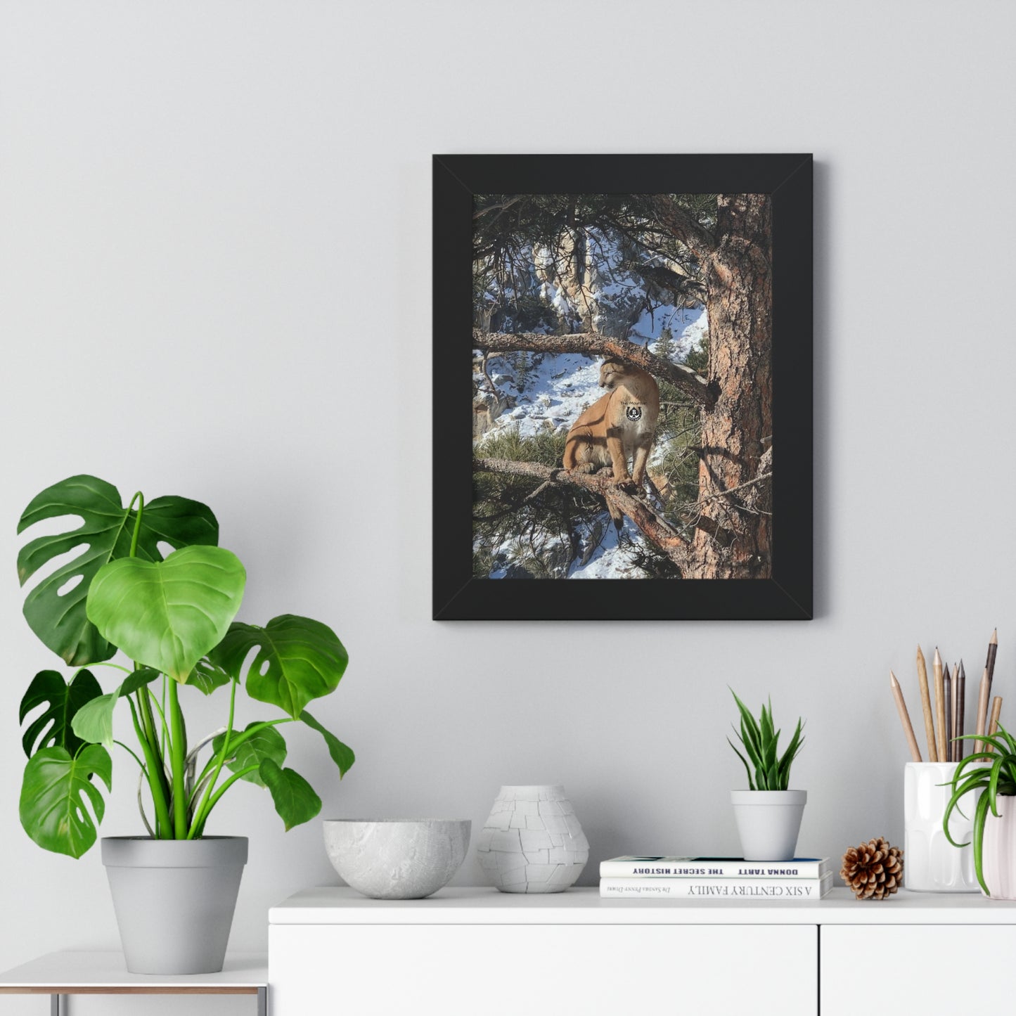 Crowned in Pine – The Mountain Collection
