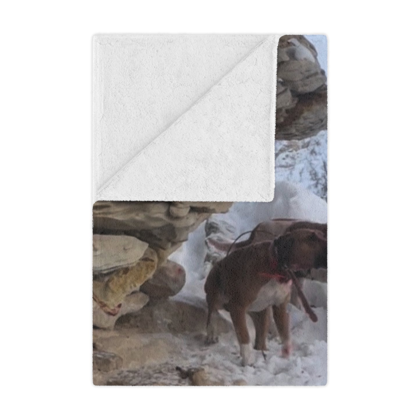 The Tree’d Bear Blanket – For the Ones Who Know the Sound of Grit Barkin’