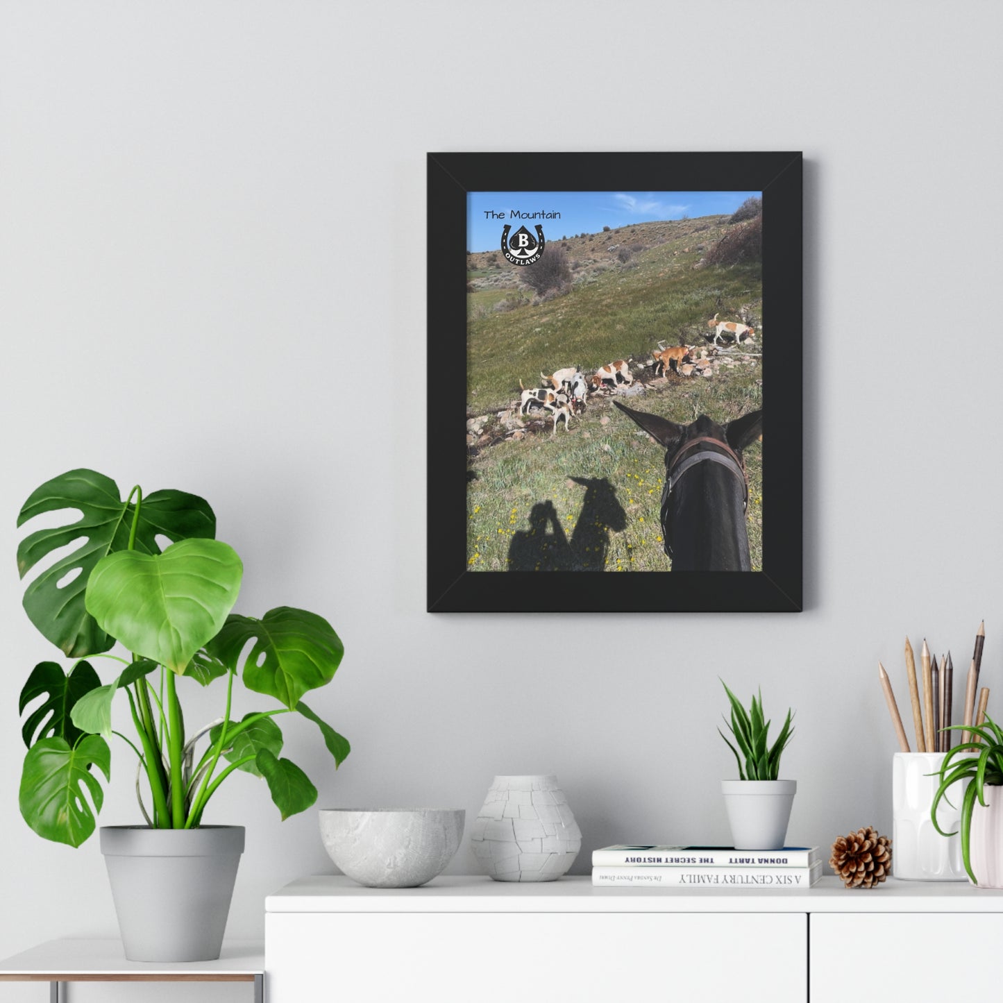 First Cut – The Mountain Collection