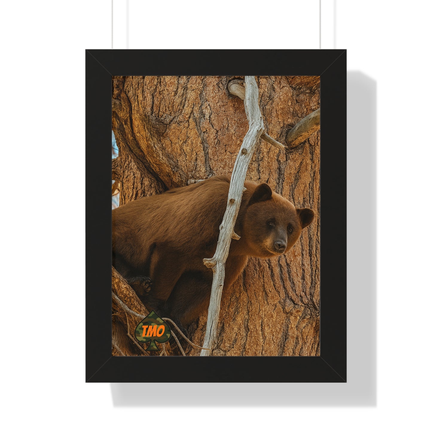 Tree Watcher – Wild Cinnamon Bear Print