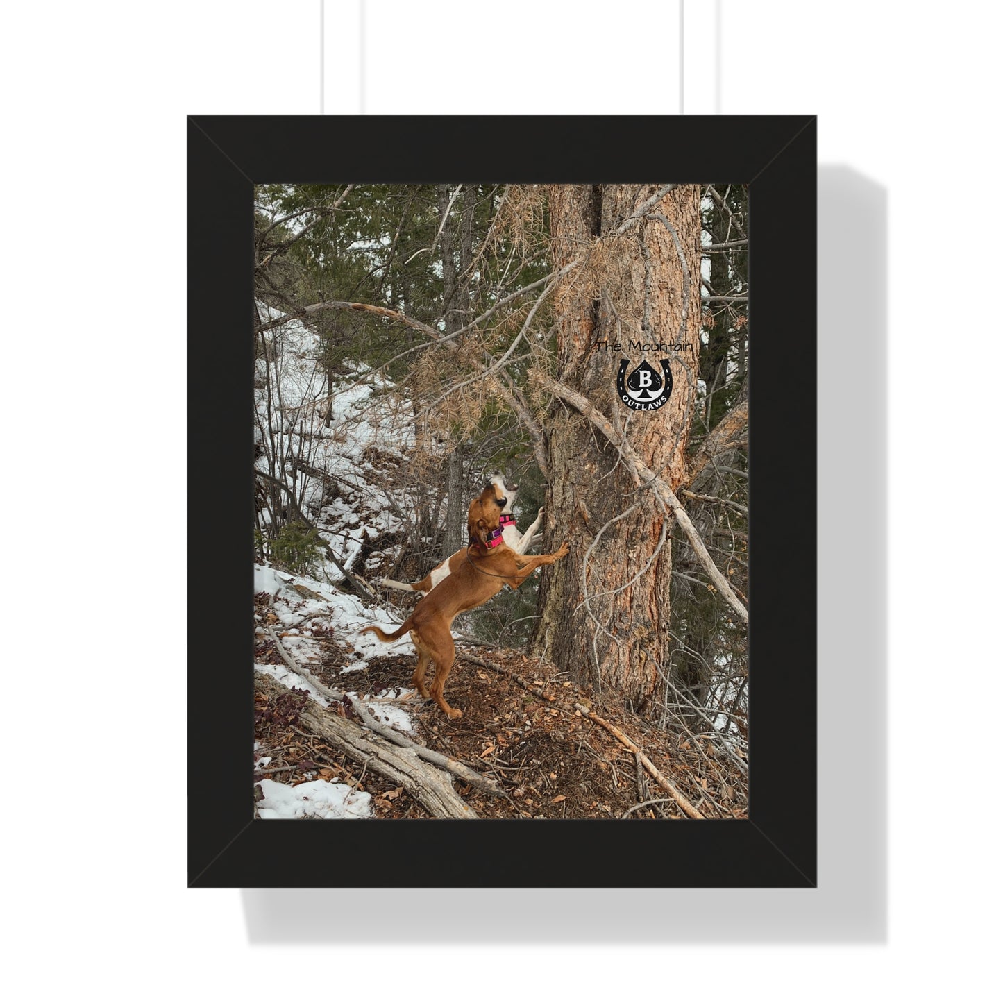 Spit & Timber – The Mountain Collection