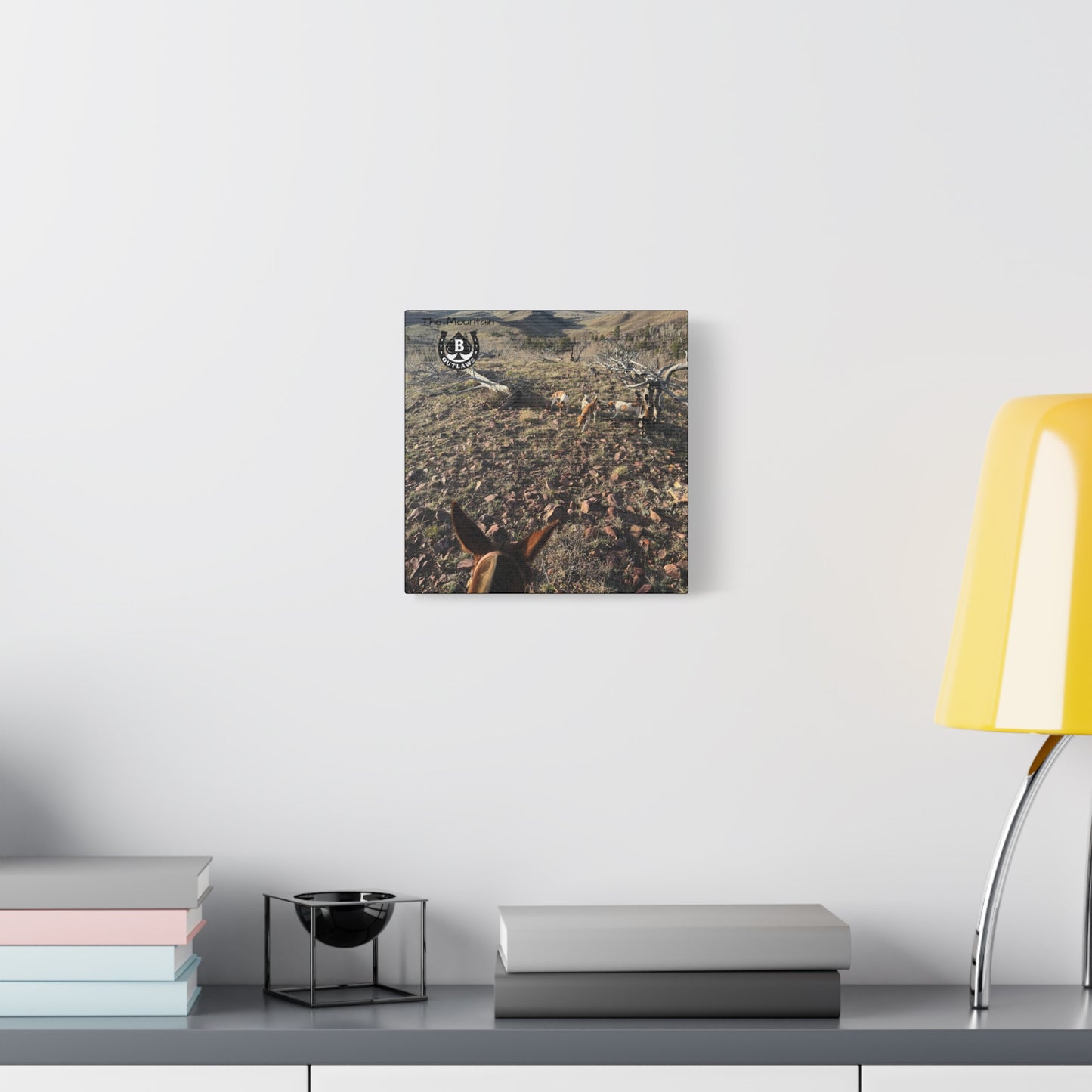 Below Timberline – The Mountain Collection