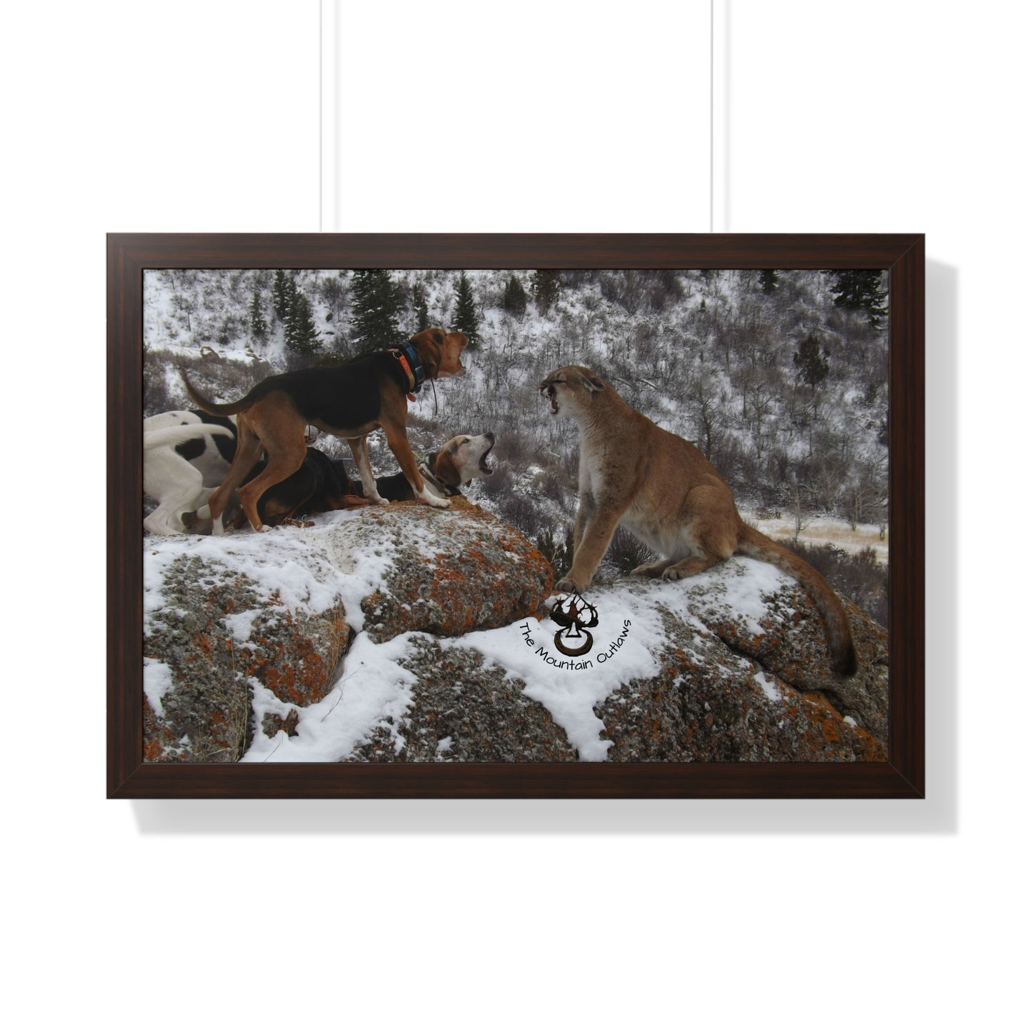 “Stand Your Ground” – Mountain Lion + Hound Face-Off | B Bear Day