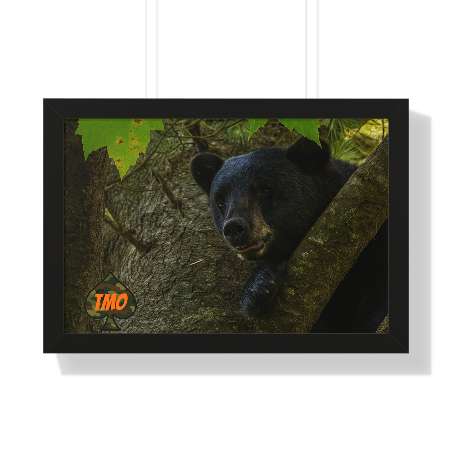 TMO Mountain Bear – Predator’s Rage Wall Art