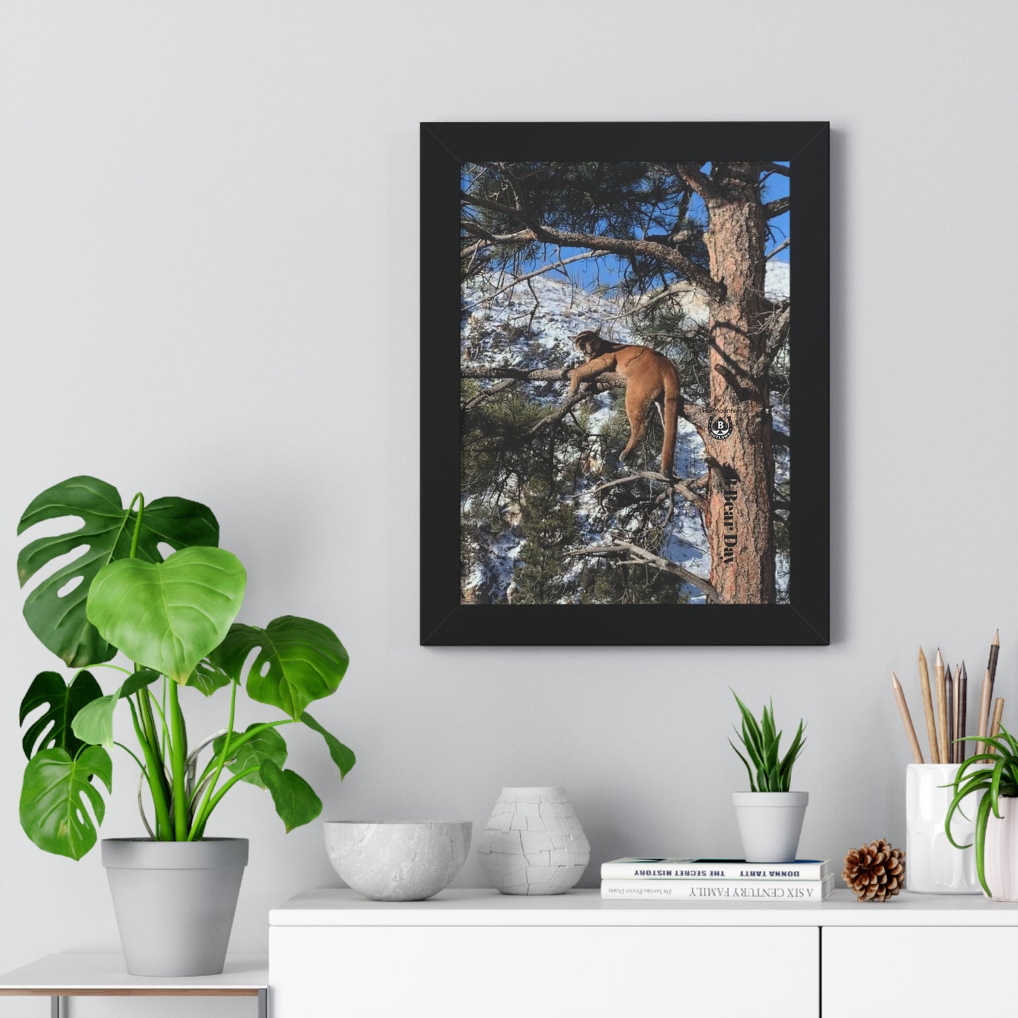 High Mark – The Mountain Collection