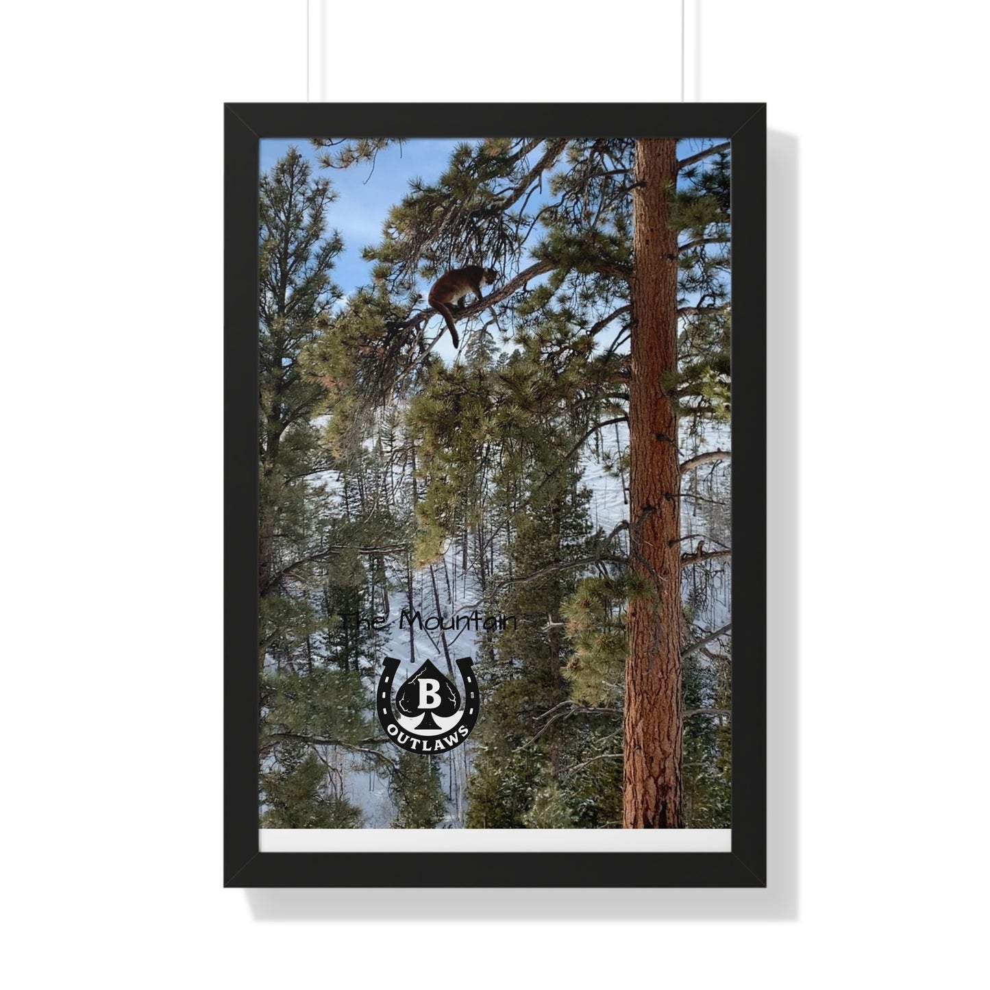 Higher Ground – The Mountain Collection