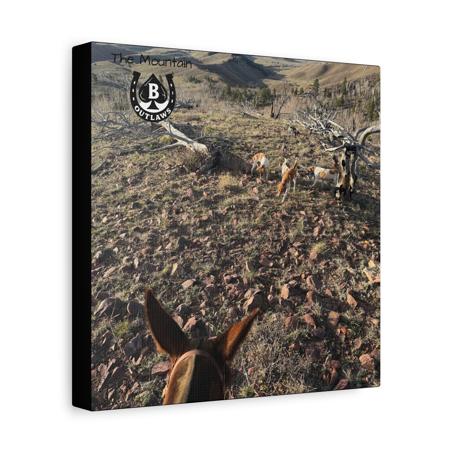 Below Timberline – The Mountain Collection