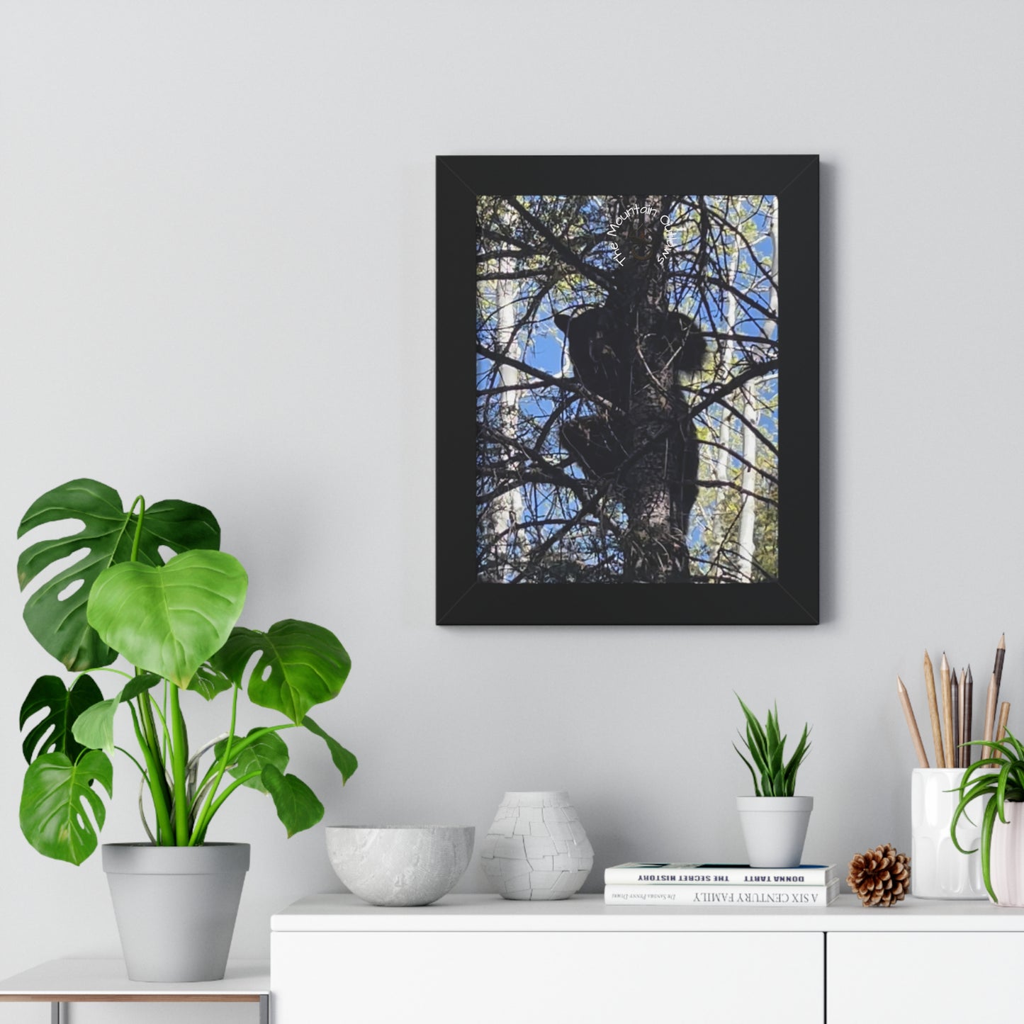 Crown of the Pines – Bear in the Canopy