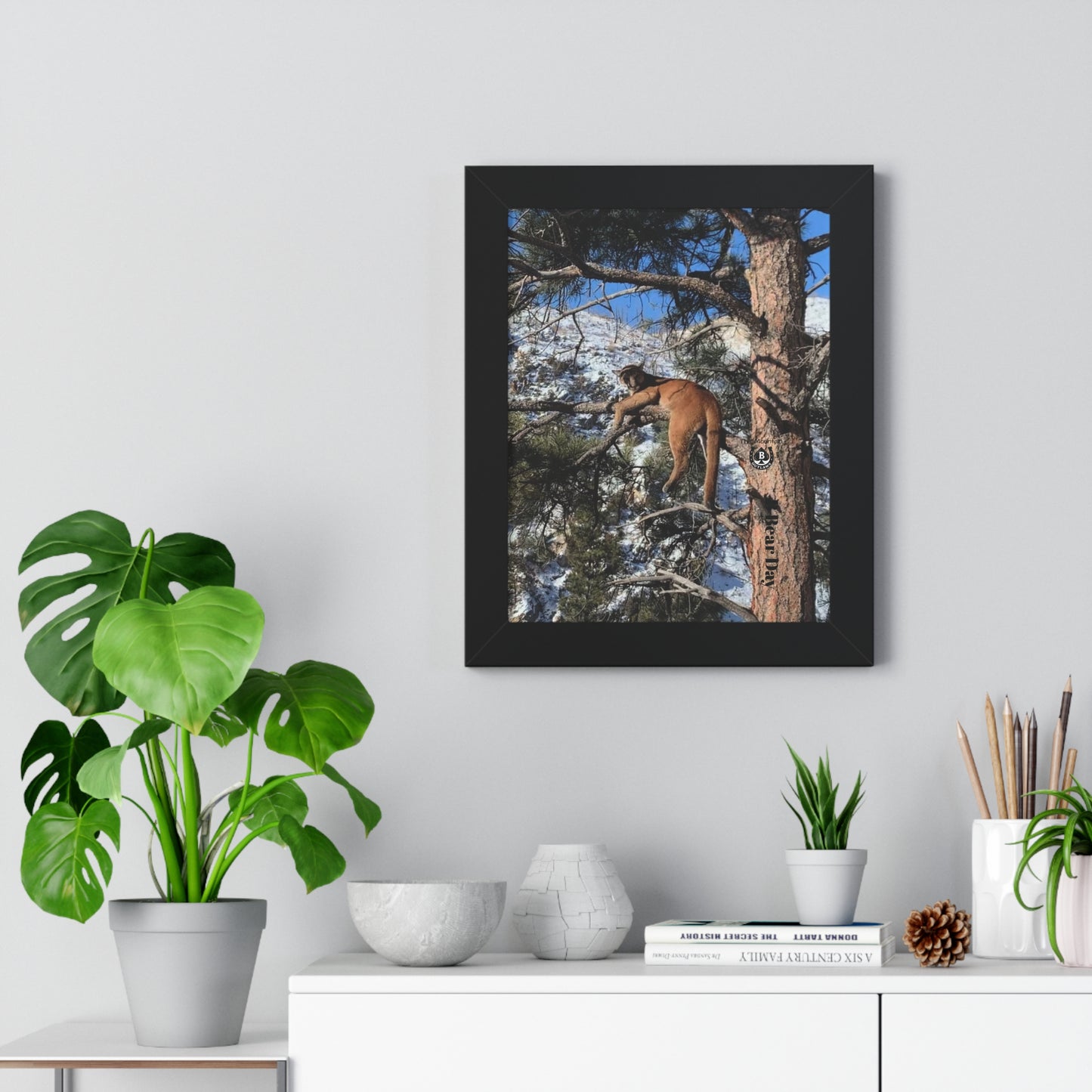 High Mark – The Mountain Collection