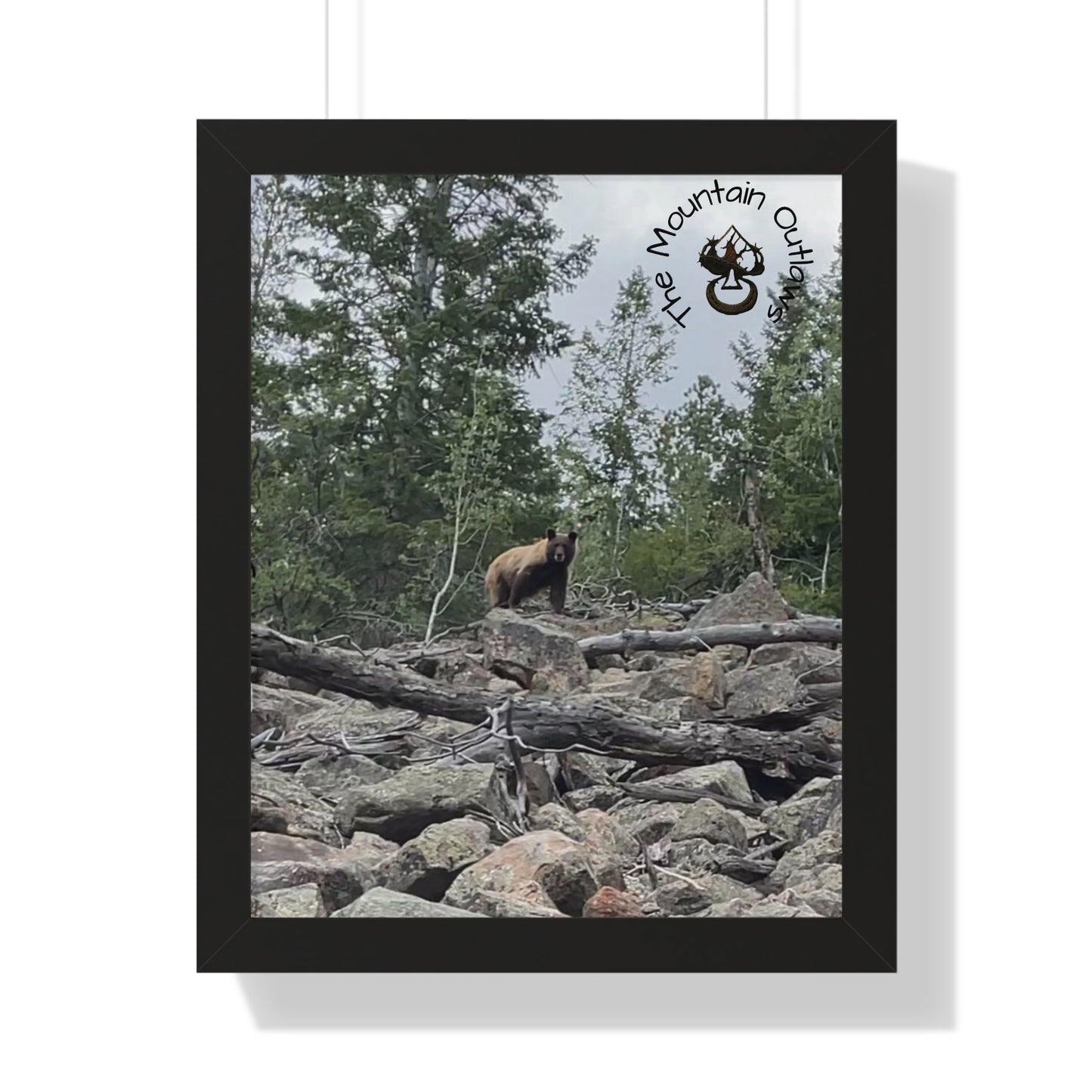 Deadwood Watch – Bear Country Static