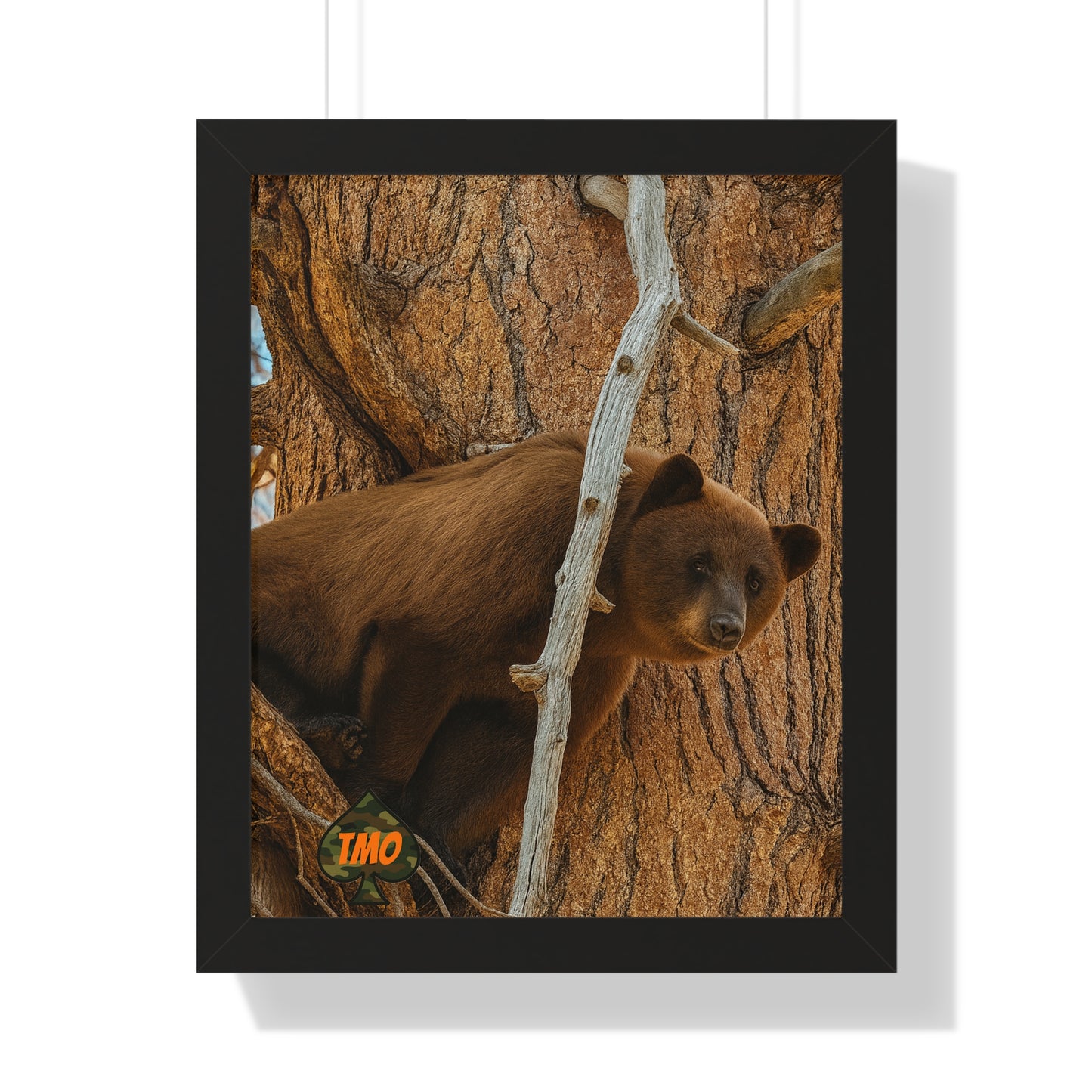 Tree Watcher – Wild Cinnamon Bear Print