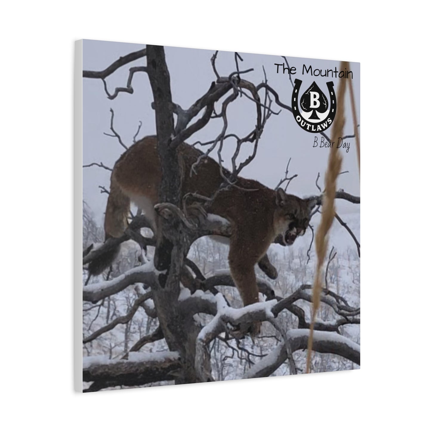 The Watcher – Apex in the Silence
