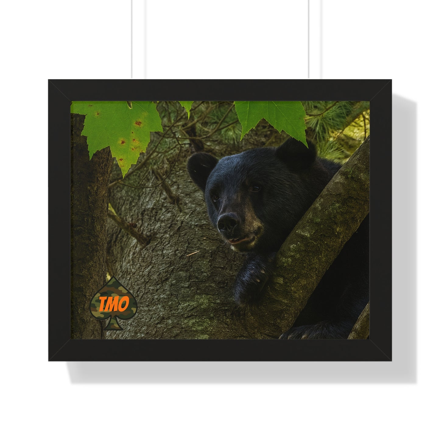 TMO Mountain Bear – Predator’s Rage Wall Art
