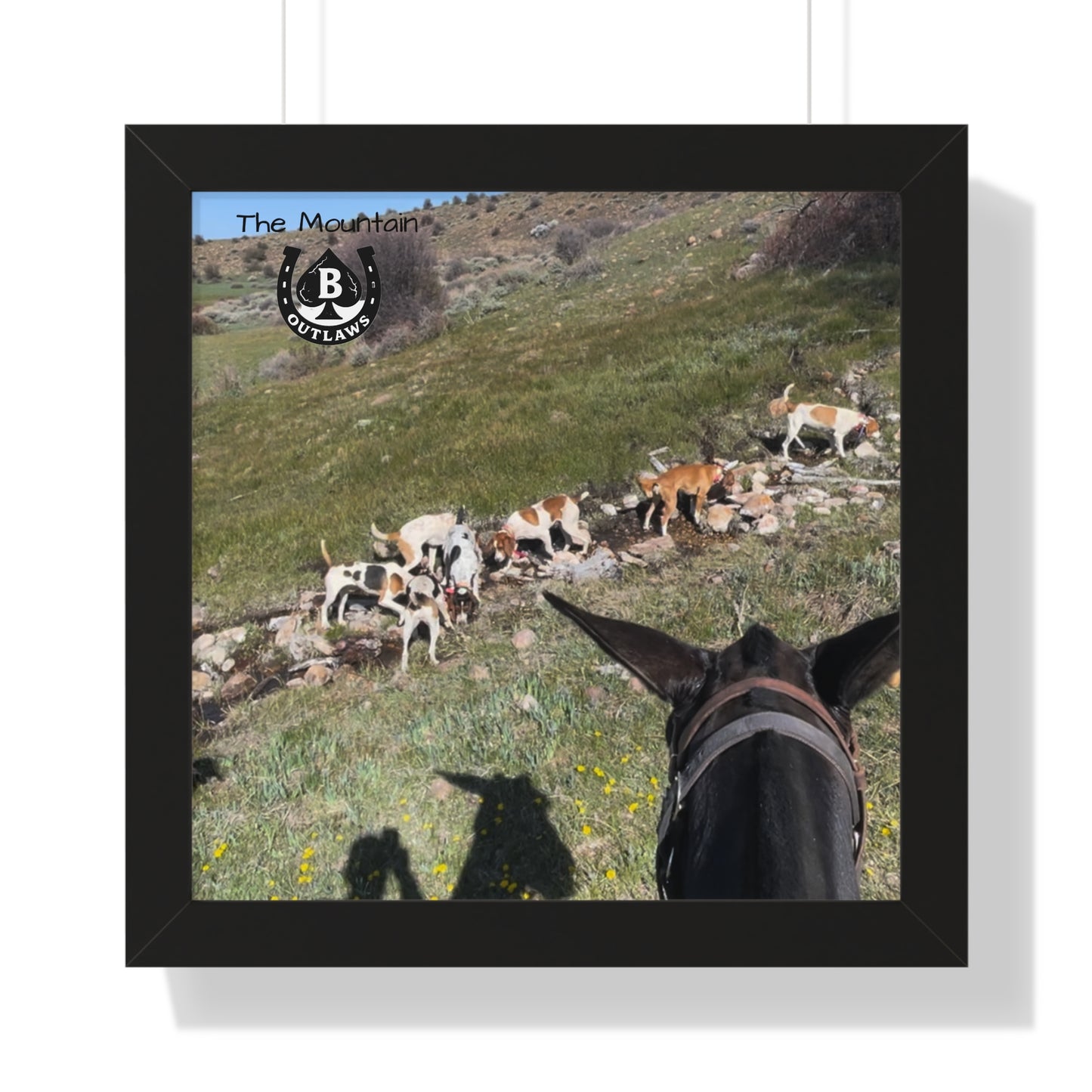 First Cut – The Mountain Collection
