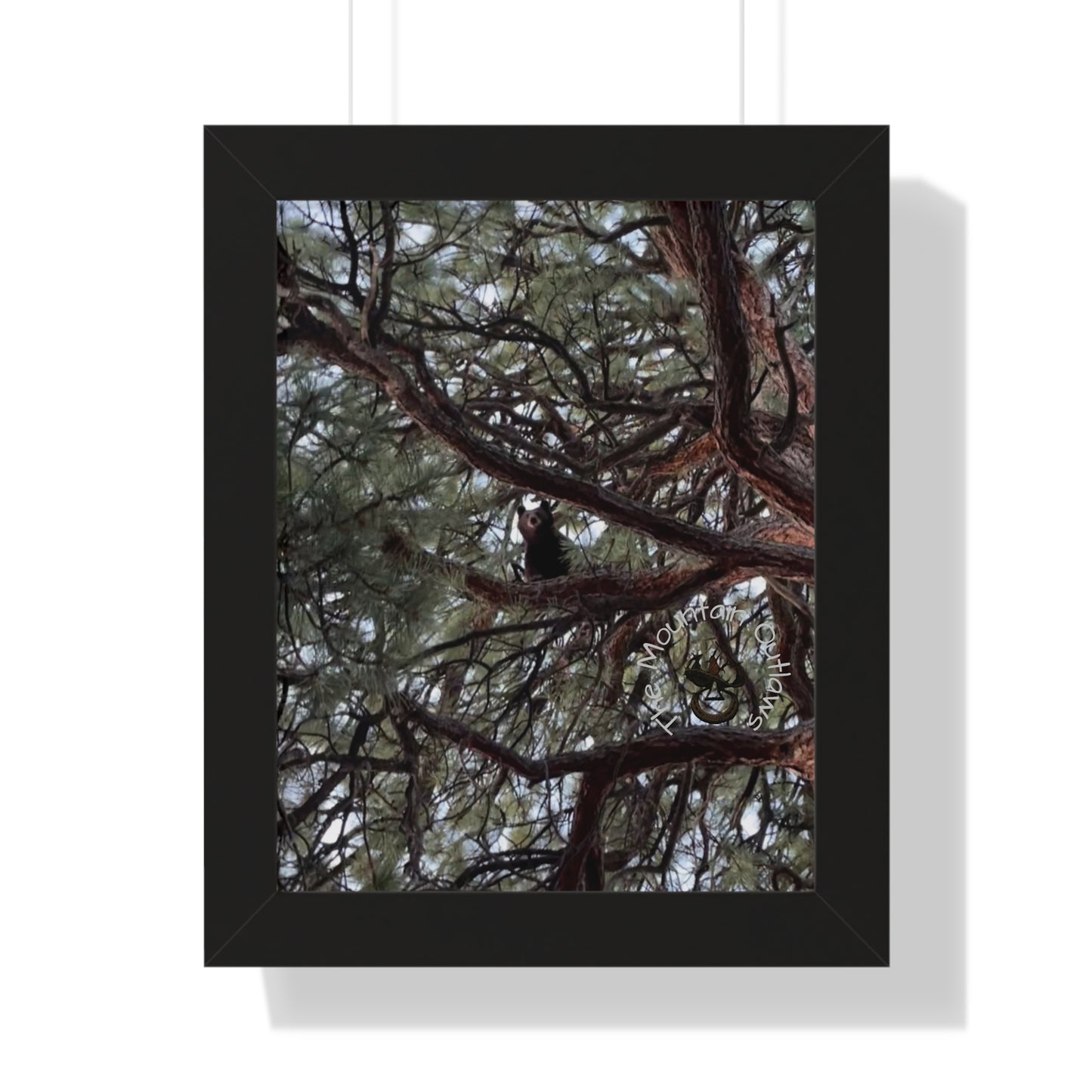 High Noon in the Pines – Bear & the Branches