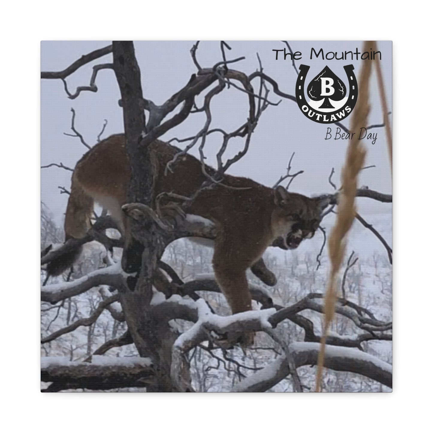 The Watcher – Apex in the Silence