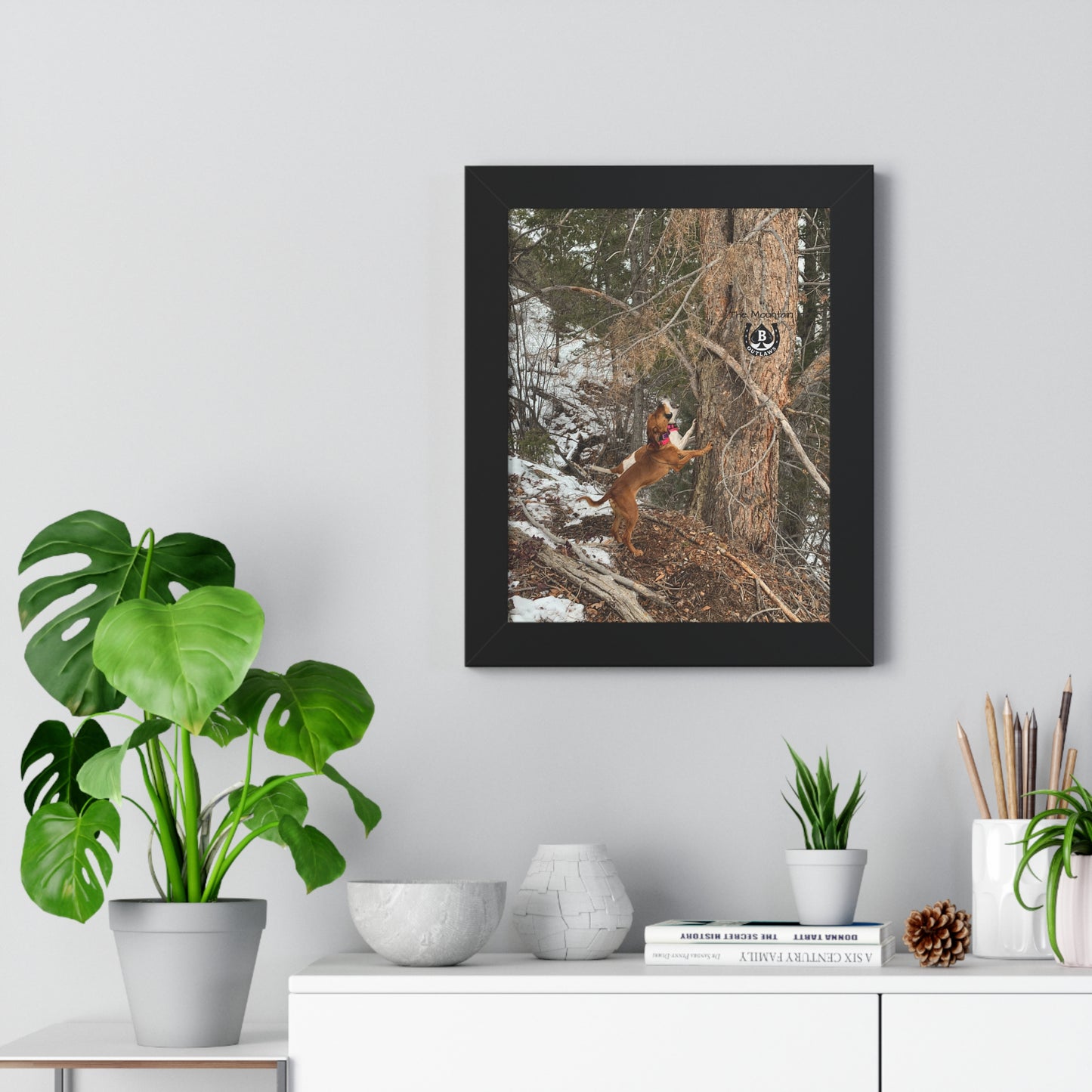 Spit & Timber – The Mountain Collection