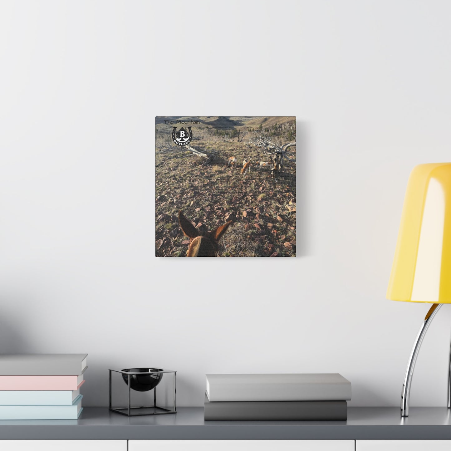 Below Timberline – The Mountain Collection