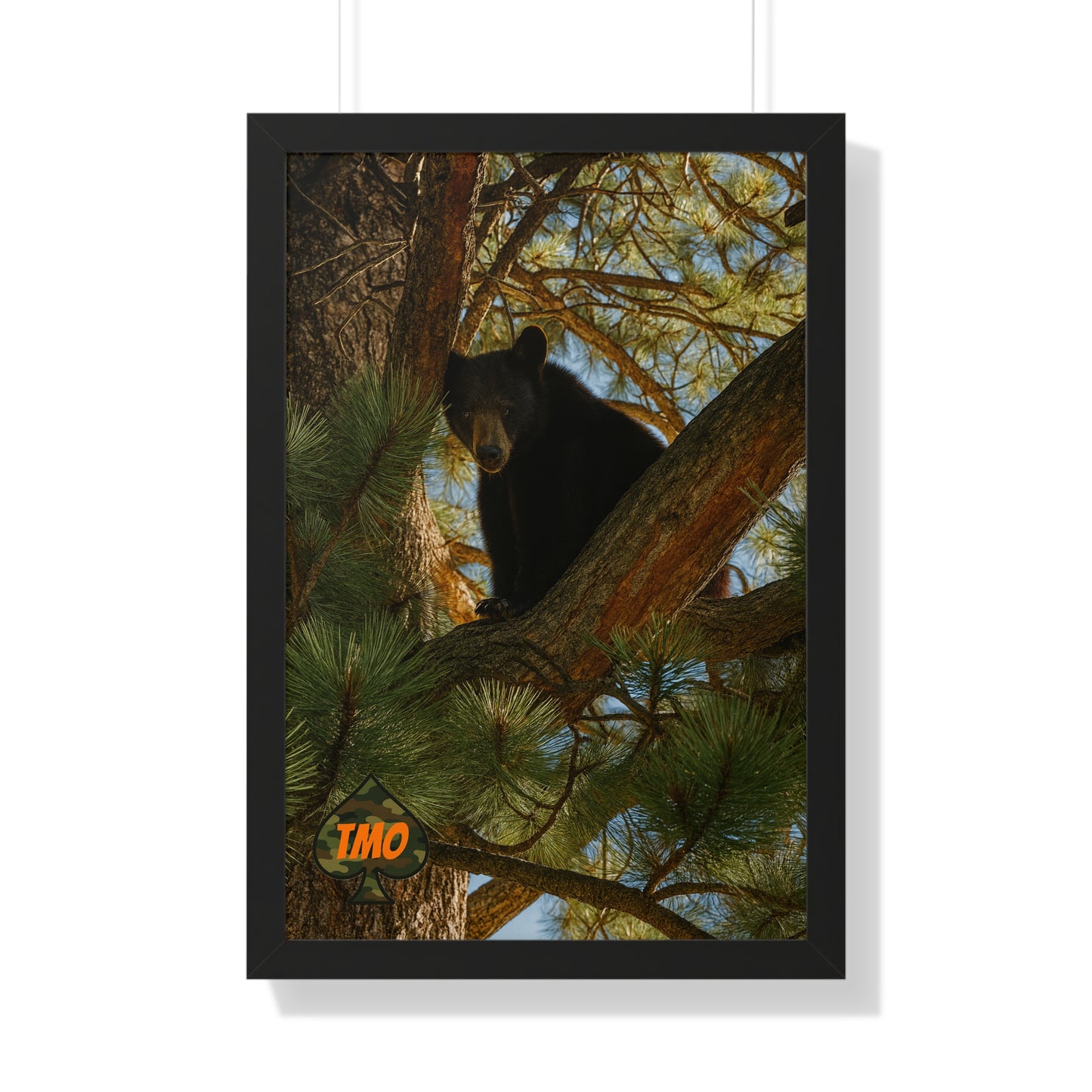 TMO Tree Bear – Apex Outlaw Wall Art