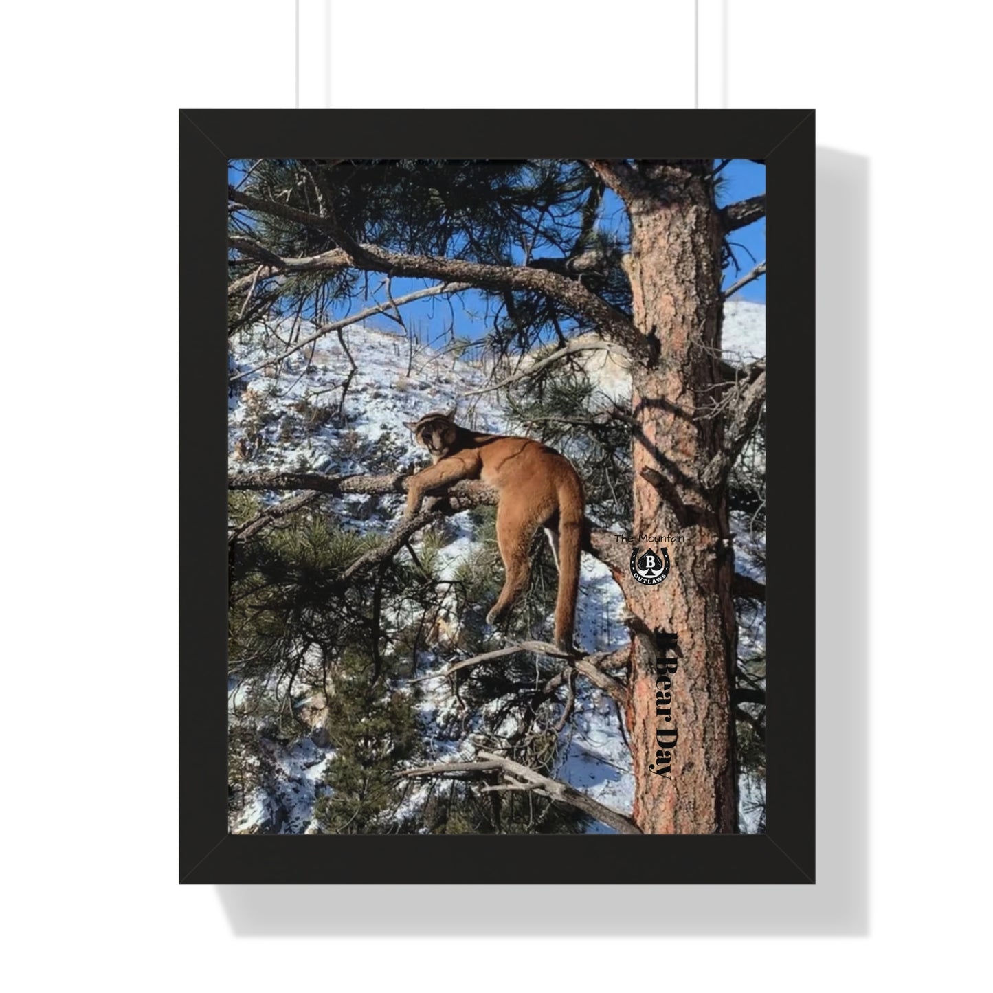 High Mark – The Mountain Collection