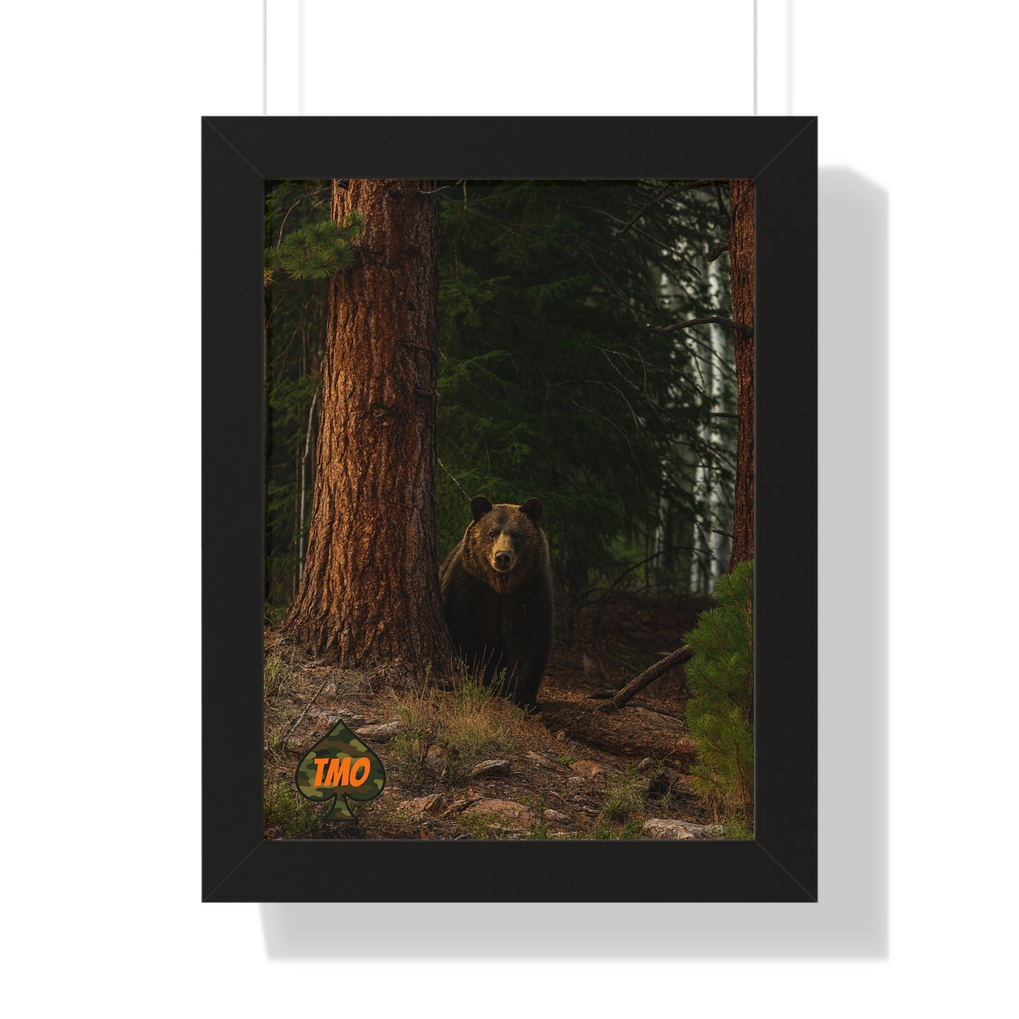 Bear in the Pines – Wild Backcountry Photo Print