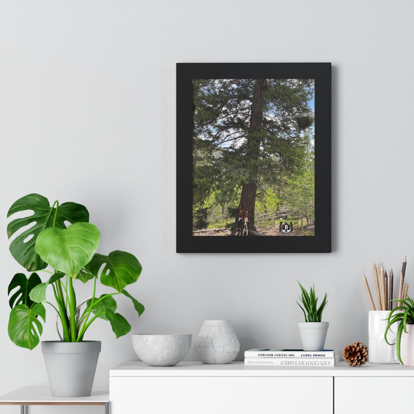 Tree Between Worlds – The Mountain Collection