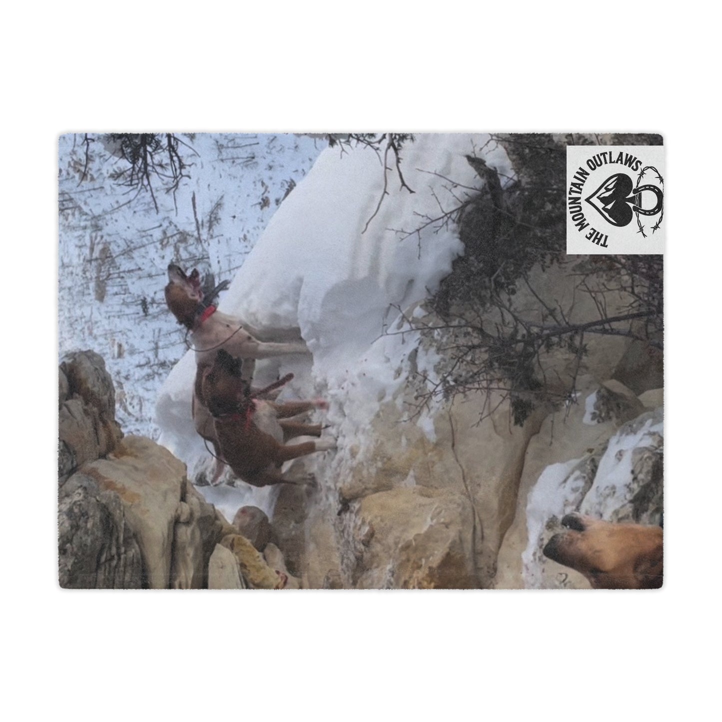 The Tree’d Bear Blanket – For the Ones Who Know the Sound of Grit Barkin’