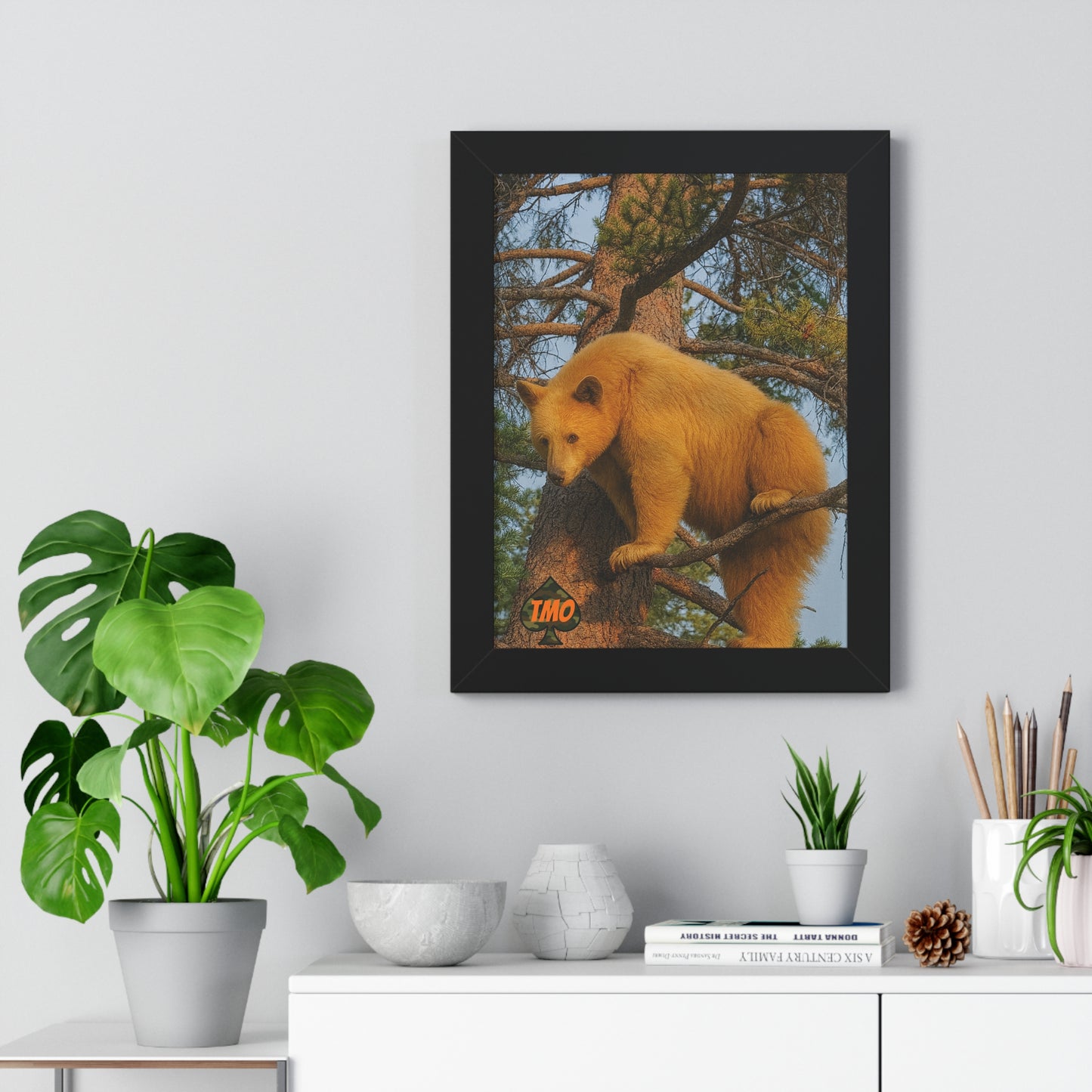 Black Bear in the Pines – Wild Backcountry Photo Print