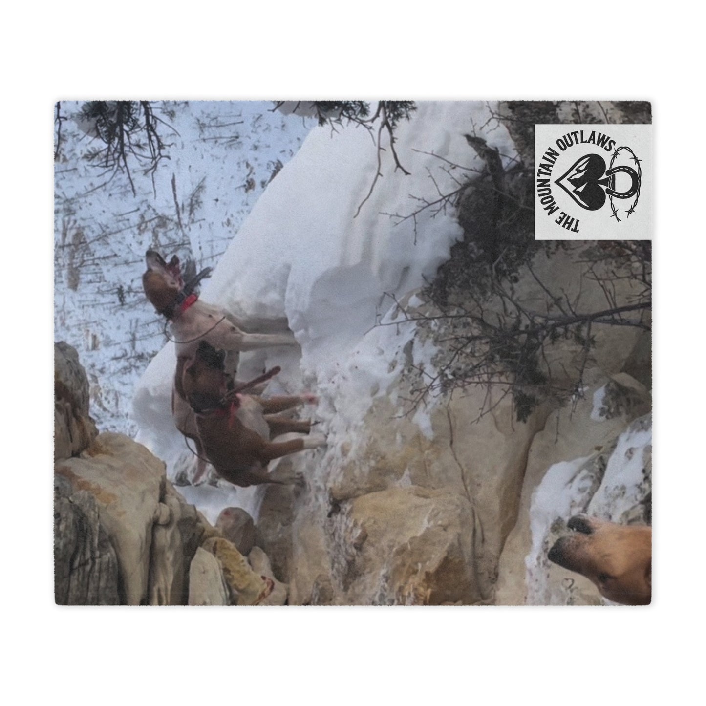 The Tree’d Bear Blanket – For the Ones Who Know the Sound of Grit Barkin’