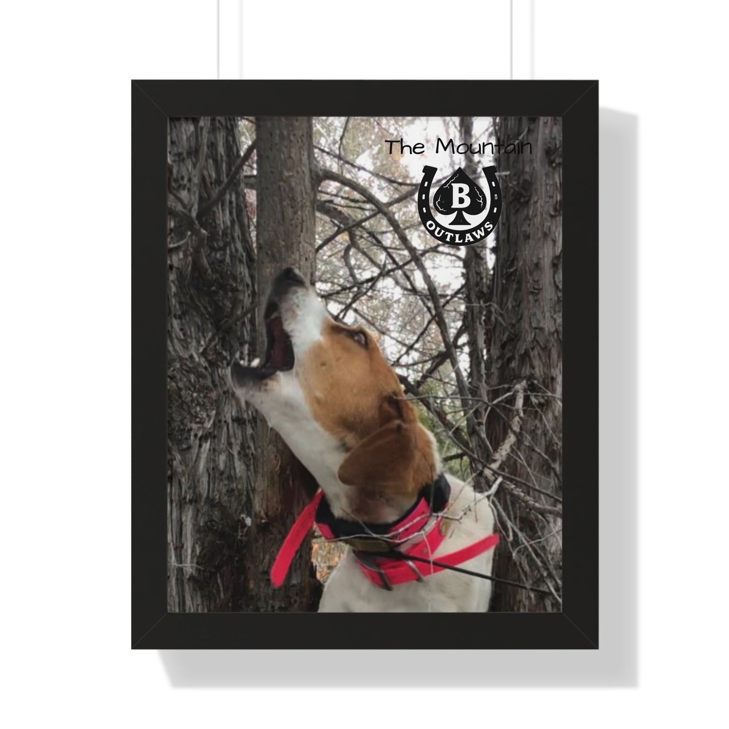 Speak the Tree – The Mountain Collection