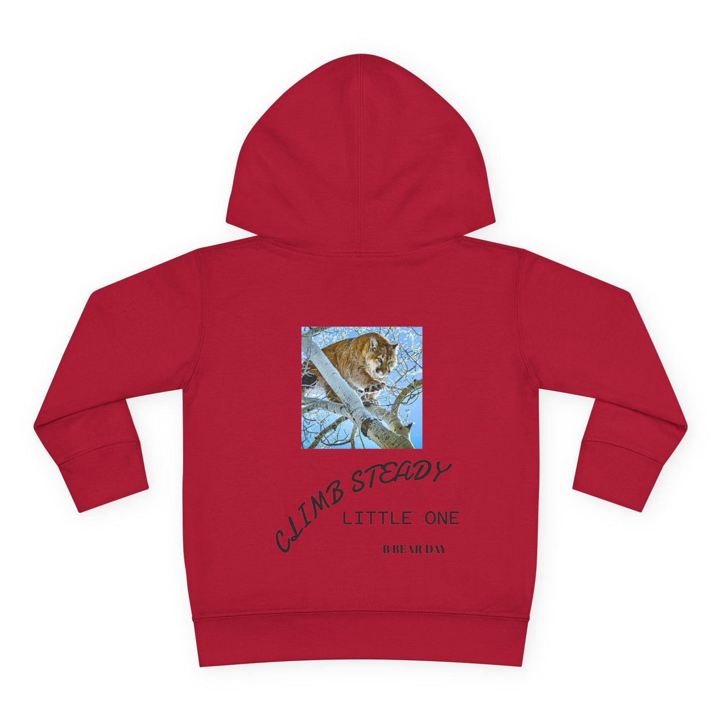 Climb Steady Hoodie – Little Outlaws Pink Cub Edition