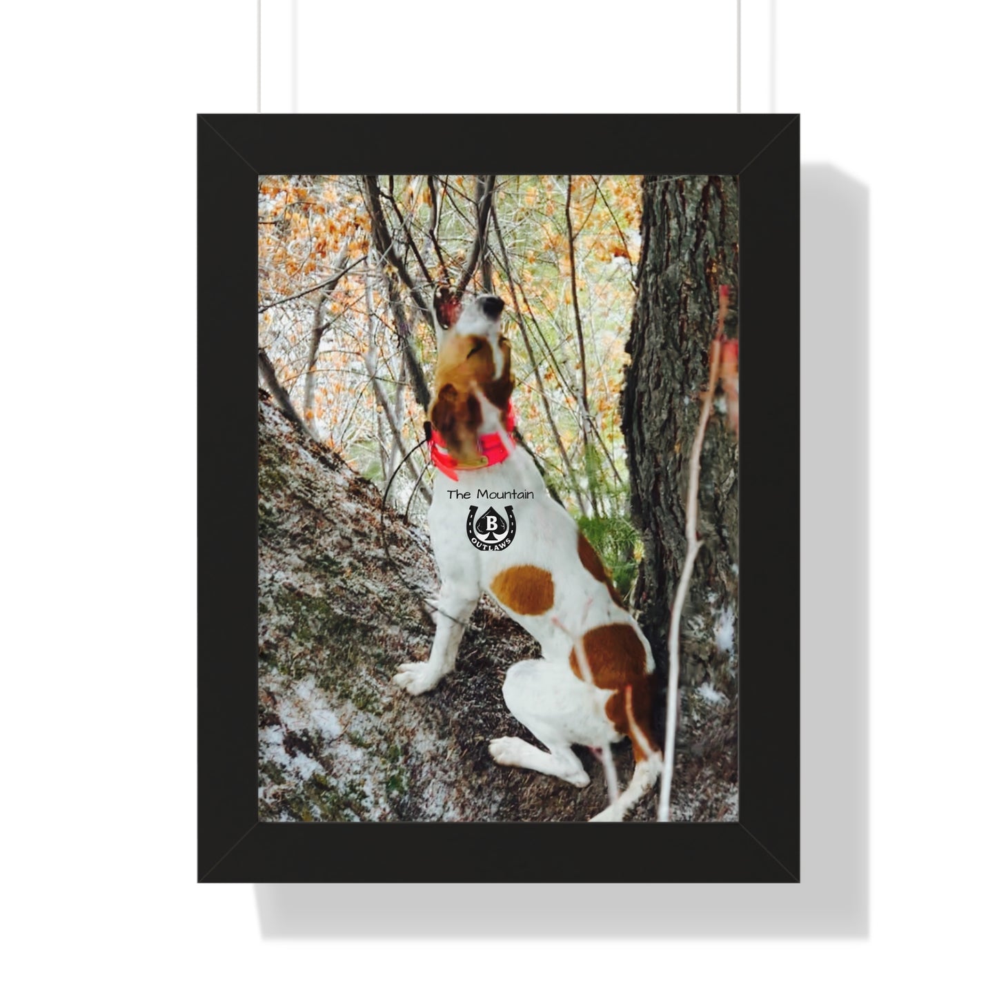 Hold the Tree – The Mountain Collection