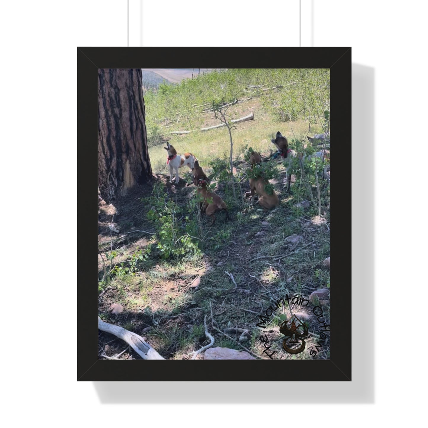 “Echo Tree” – The Hounds Find Voice