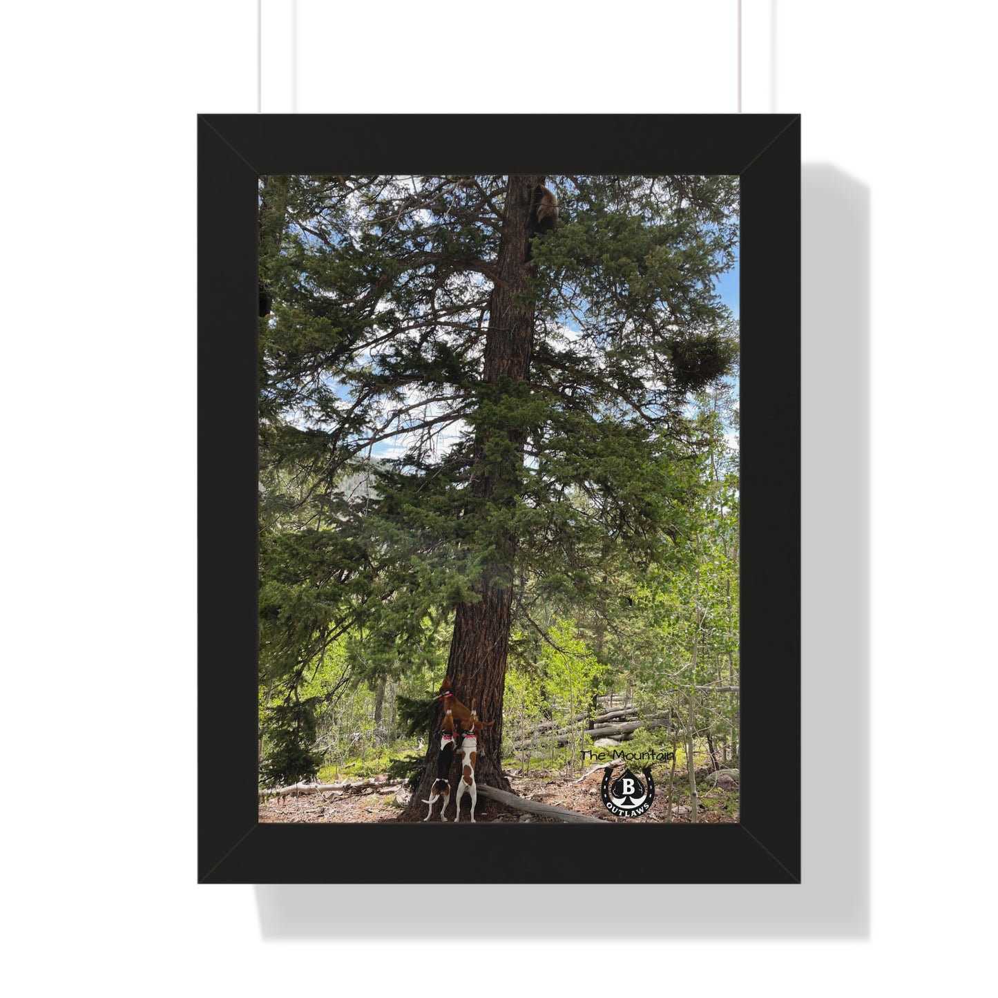 Tree Between Worlds – The Mountain Collection