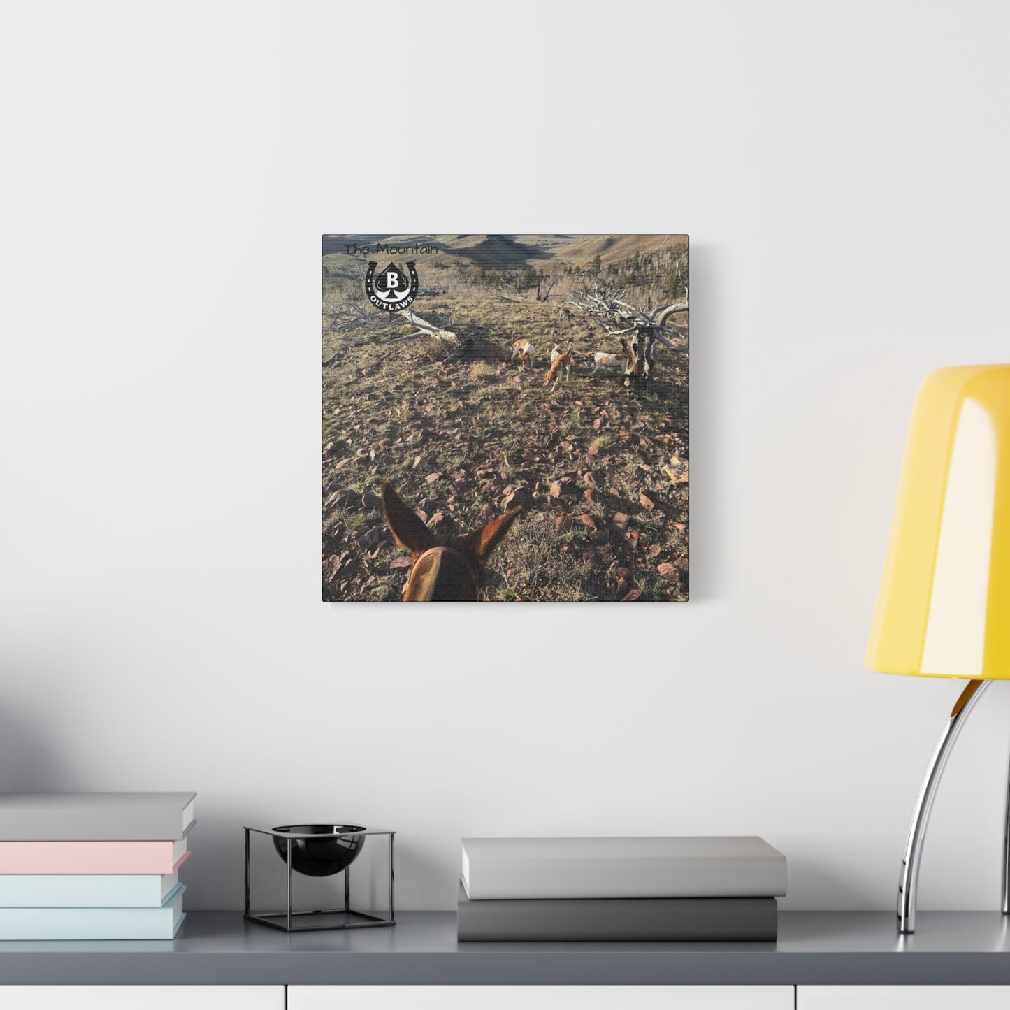 Below Timberline – The Mountain Collection