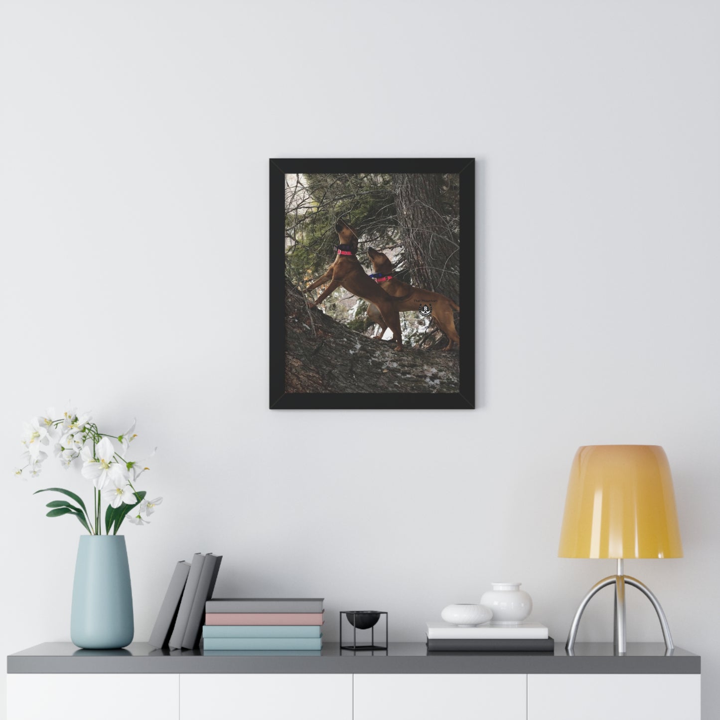 Sing the Tree – The Mountain Collection