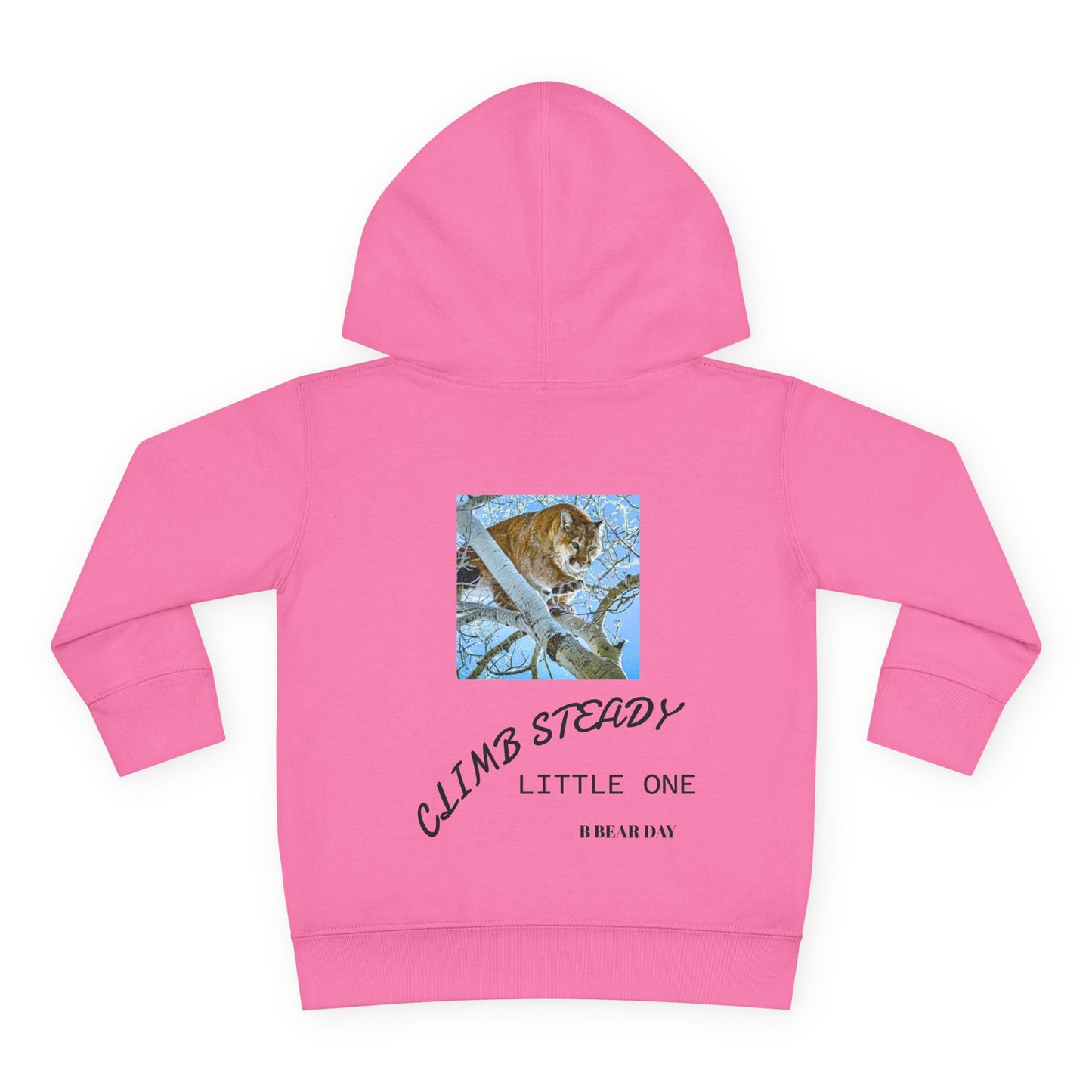 Climb Steady Hoodie – Little Outlaws Pink Cub Edition