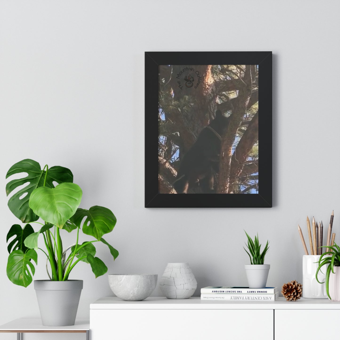 “Bear in the Pines” – No Escape, Just Altitude