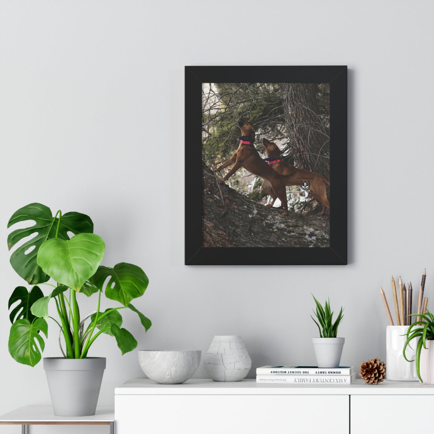 Sing the Tree – The Mountain Collection