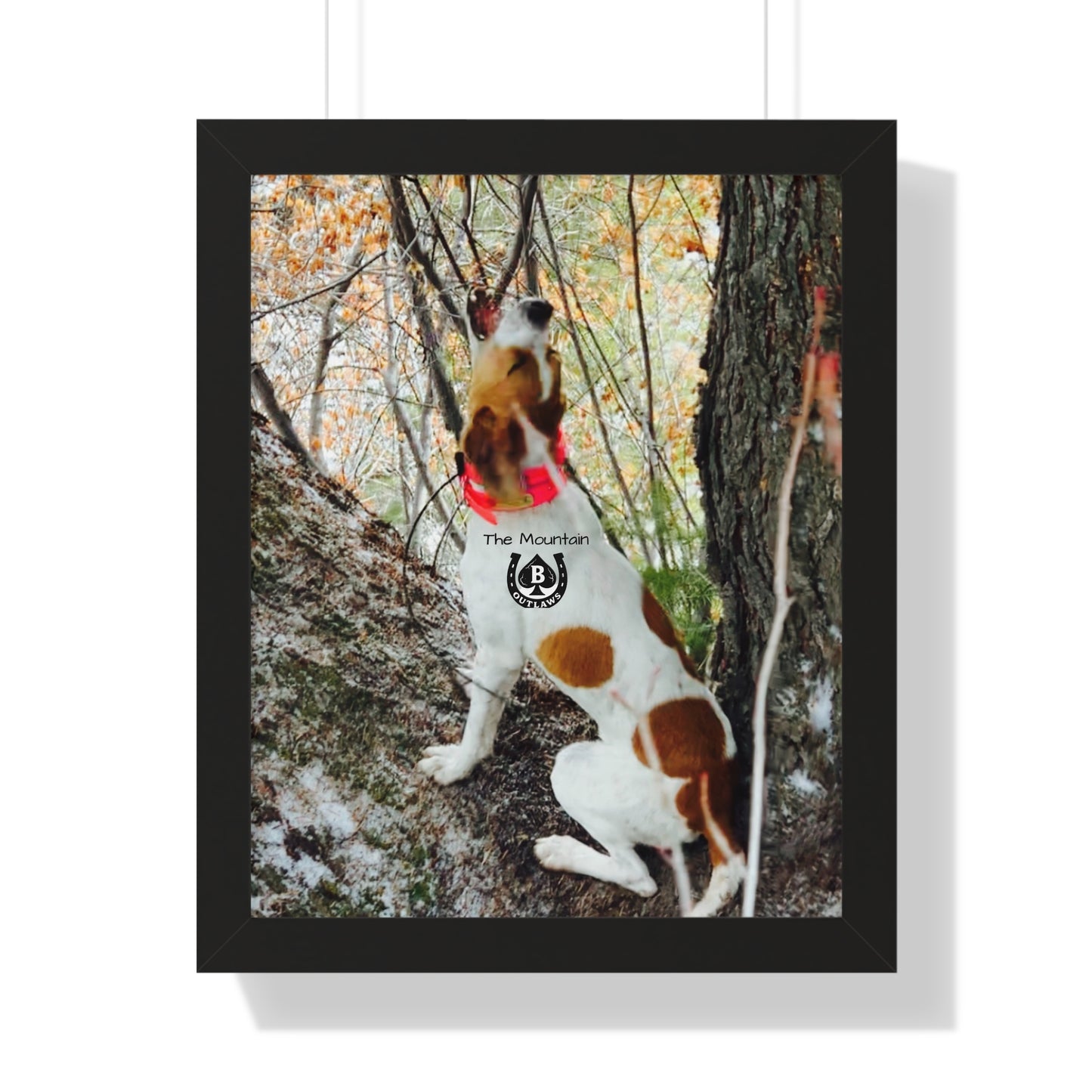 Hold the Tree – The Mountain Collection